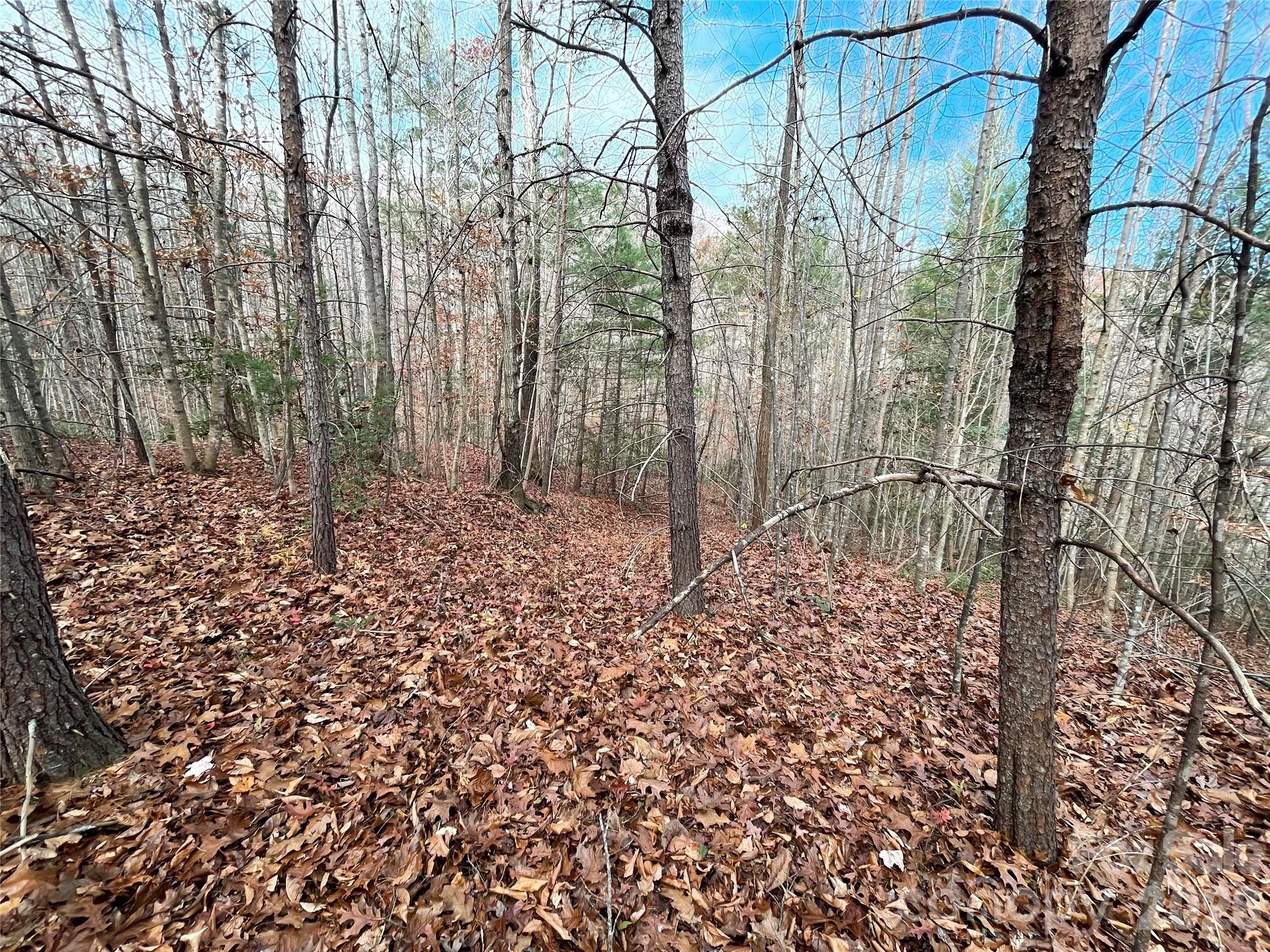 3308 Valley Drive 9m 10m