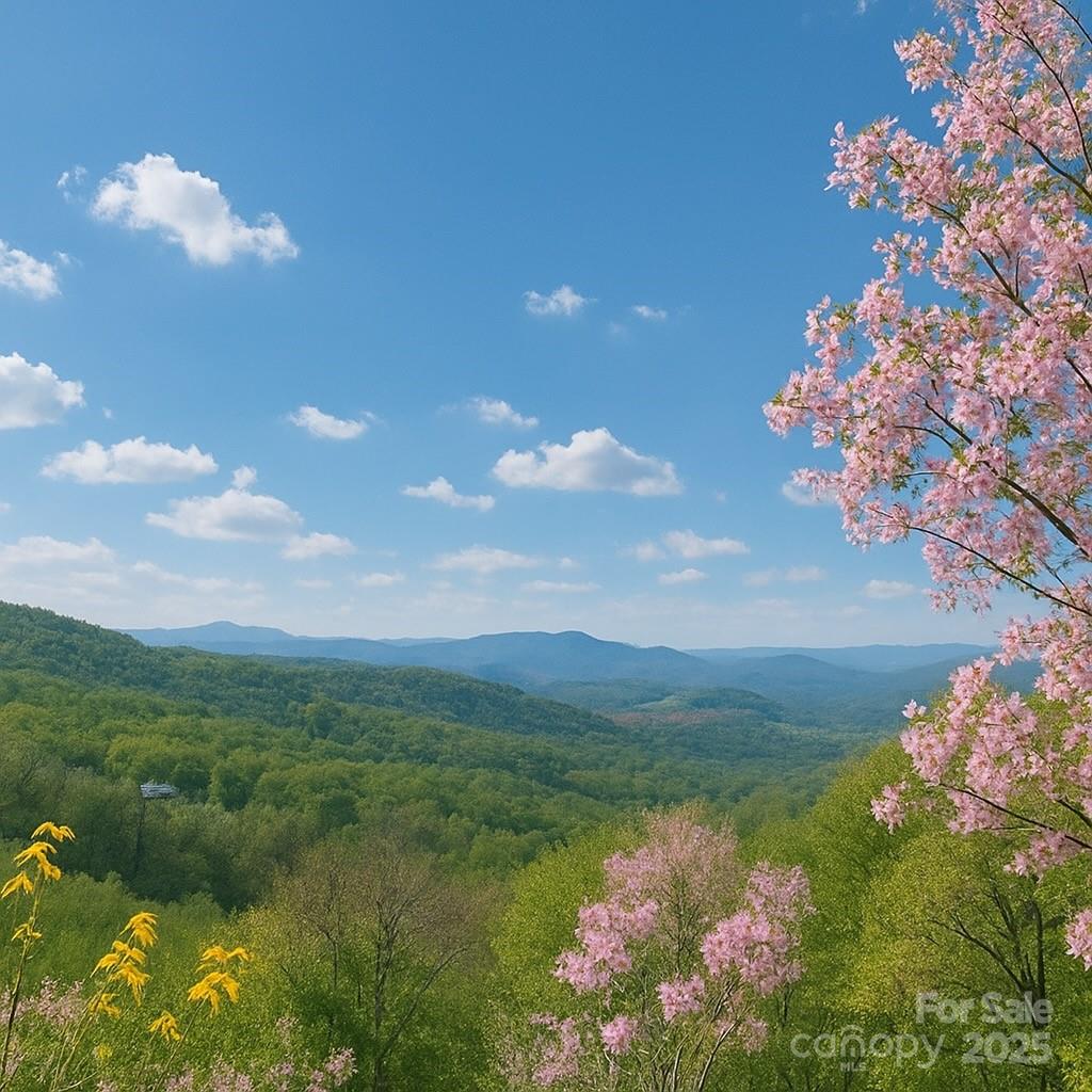 The Cliffs - Residential