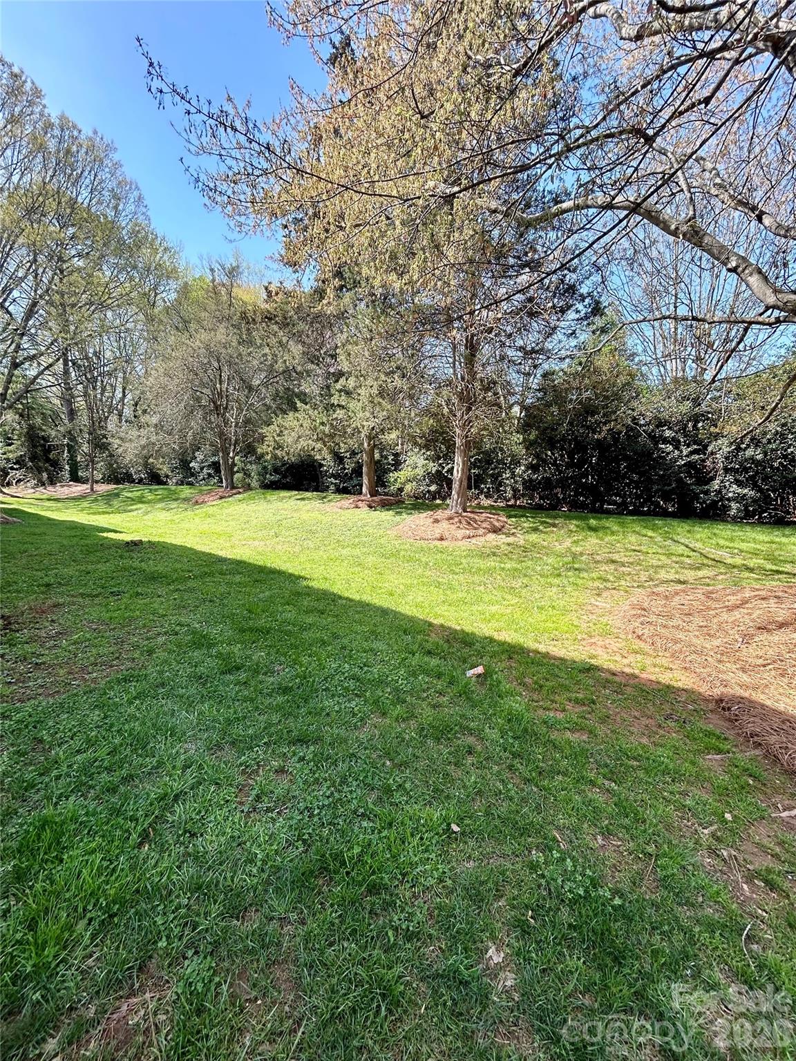 9521 Shannon Green Drive C