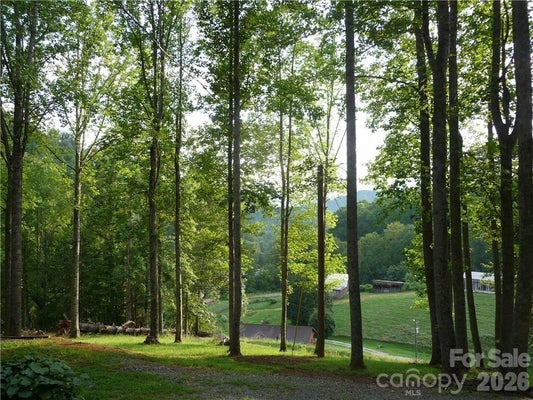 JOE SHOEMAKER RD, VILAS, NC 28692 - Image 4d4931720f6dbb8d3e65120fa4f0f995/967794747