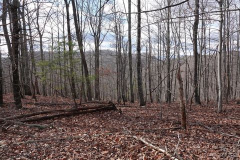 79 Longview Trail Bostic NC 28018