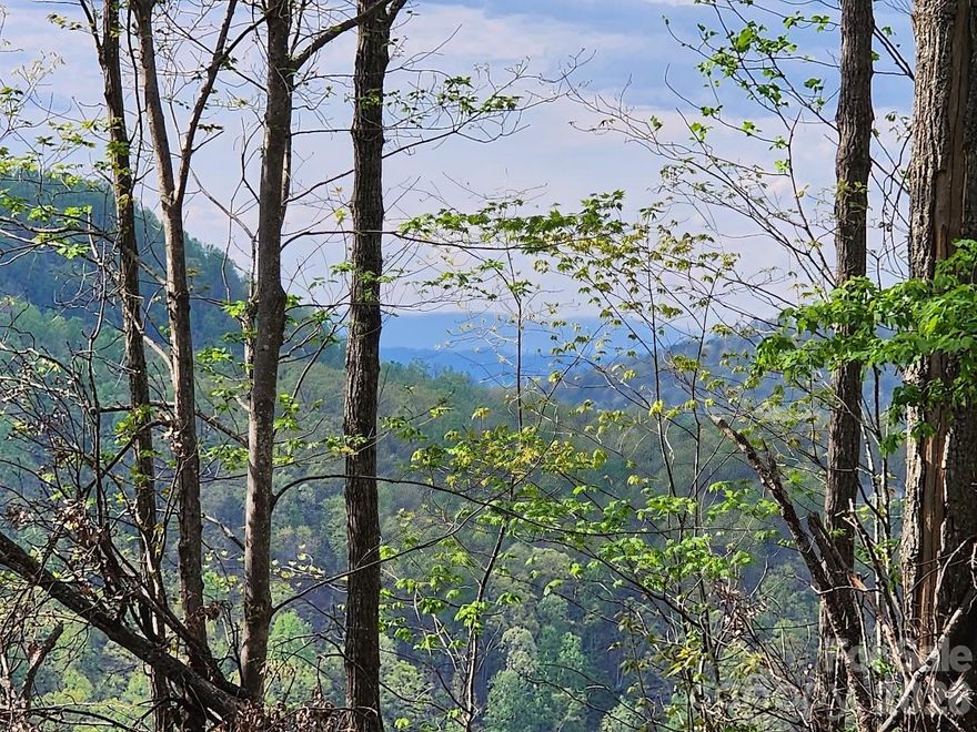 Ridgetop lot: 1.62 Acres with Captivating Views! Unlock the potential of this beautiful 1.62-acre lot in The Summit, a gated community in rural Golden Valley. Perfect for those seeking affordability without sacrificing comfort. Revel in the security of a gated community with paved roads and underground utilities. Only 2.3 miles from Yogi Bear's Jellystone Park, experience the charm of rural living near Bostic (see pictures) in Rutherford County. Enjoy the tranquility of being ~20 miles from anywhere, strategically nestled between Charlotte and Asheville, yet just a short 20 miles from the convenience of the nearest Walmart.