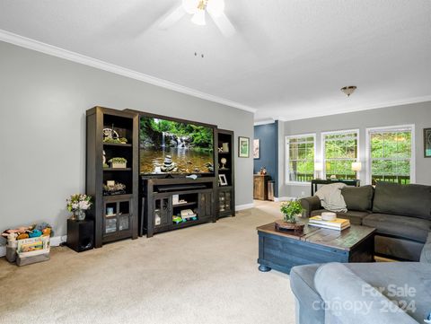 A home in Pisgah Forest