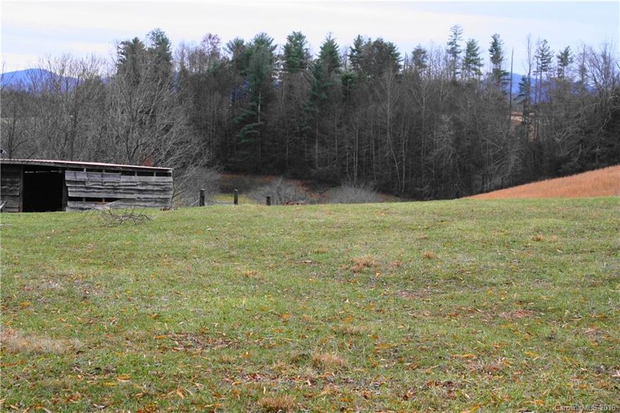 Property is a portion of PIN#8793-94-0496. Very buildable lot in the country located just minutes to Asheville. Very gentle terrain. Property is defined by fenced in pasture at sign. Off frame modular OK. No mobiles. Restricted to one home only.