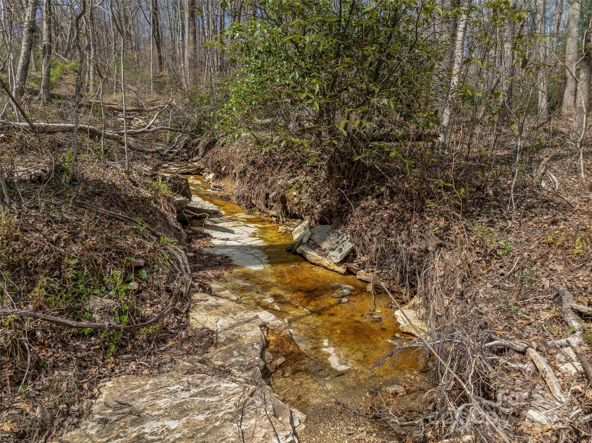 Grand Highlands at Bearwallow - Land