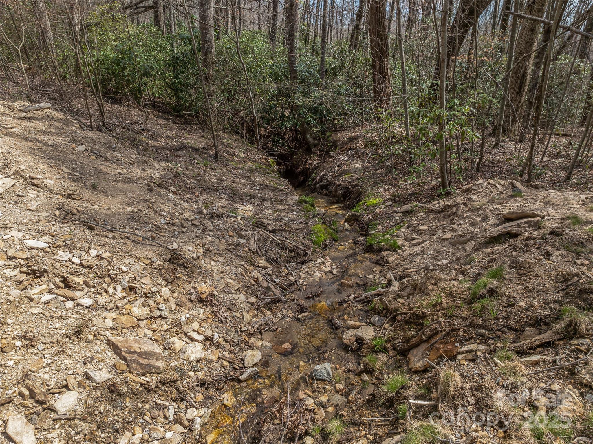 Grand Highlands at Bearwallow - Land