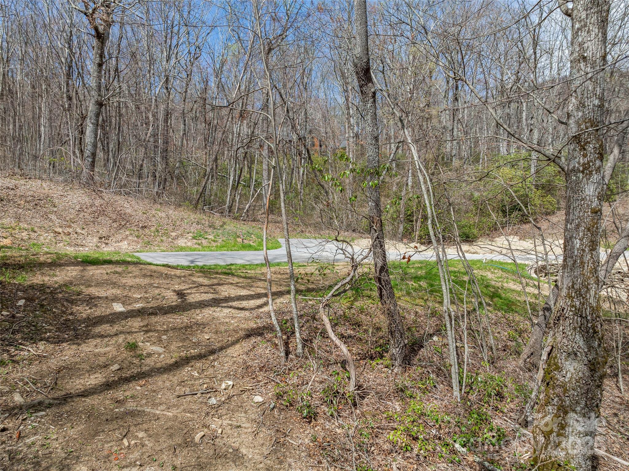 Grand Highlands at Bearwallow - Land