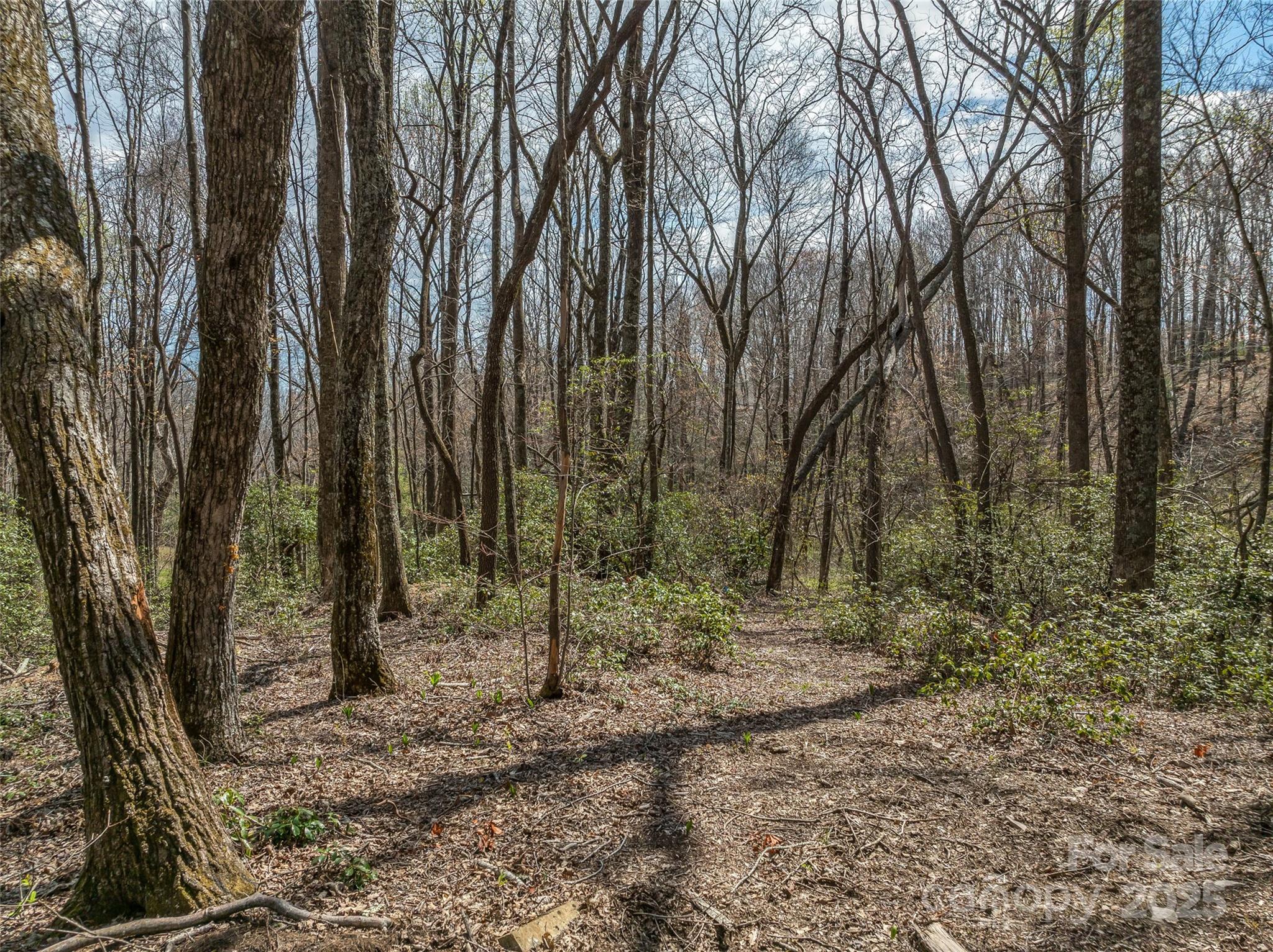 Grand Highlands at Bearwallow - Land
