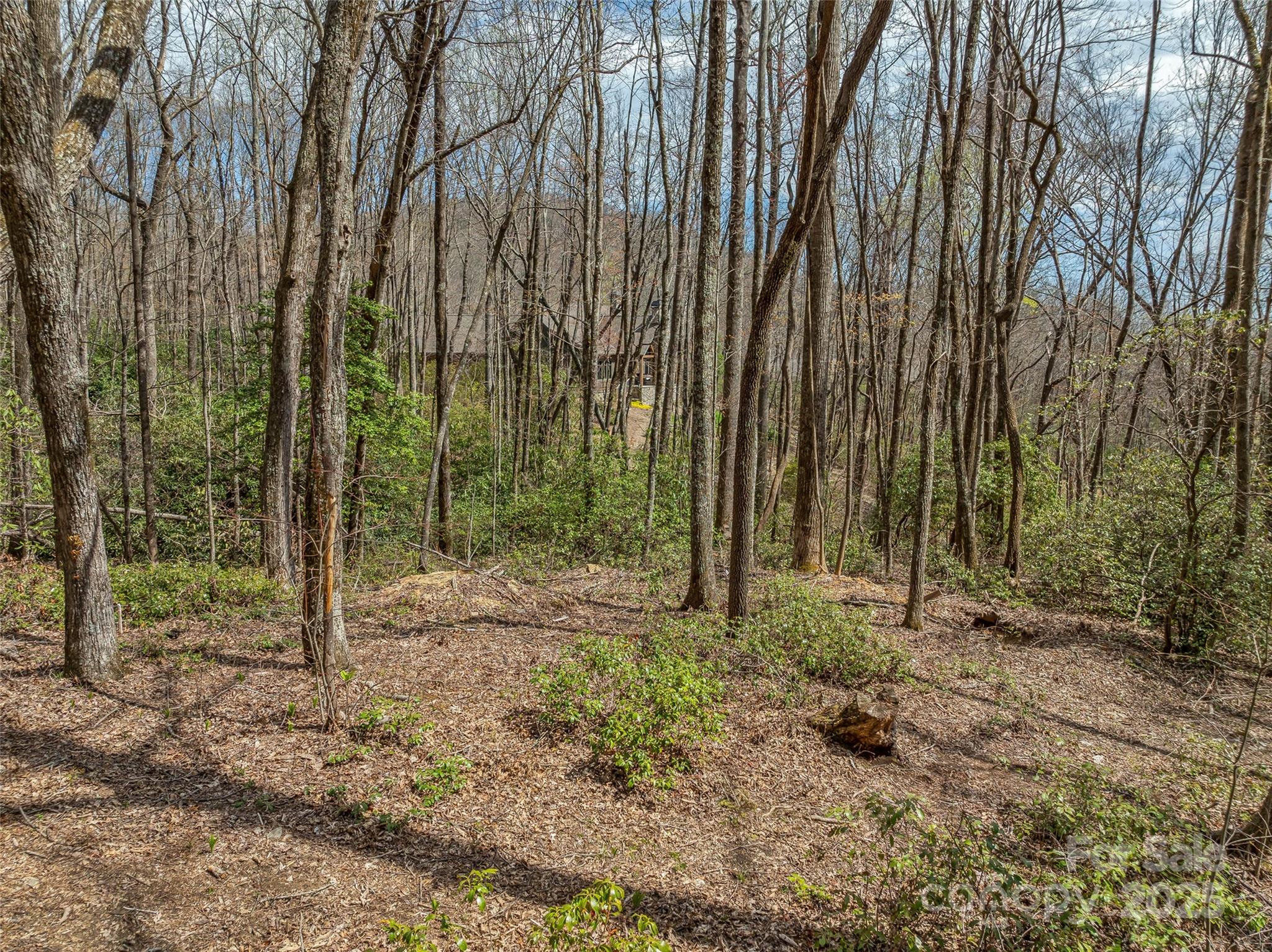 Grand Highlands at Bearwallow - Land