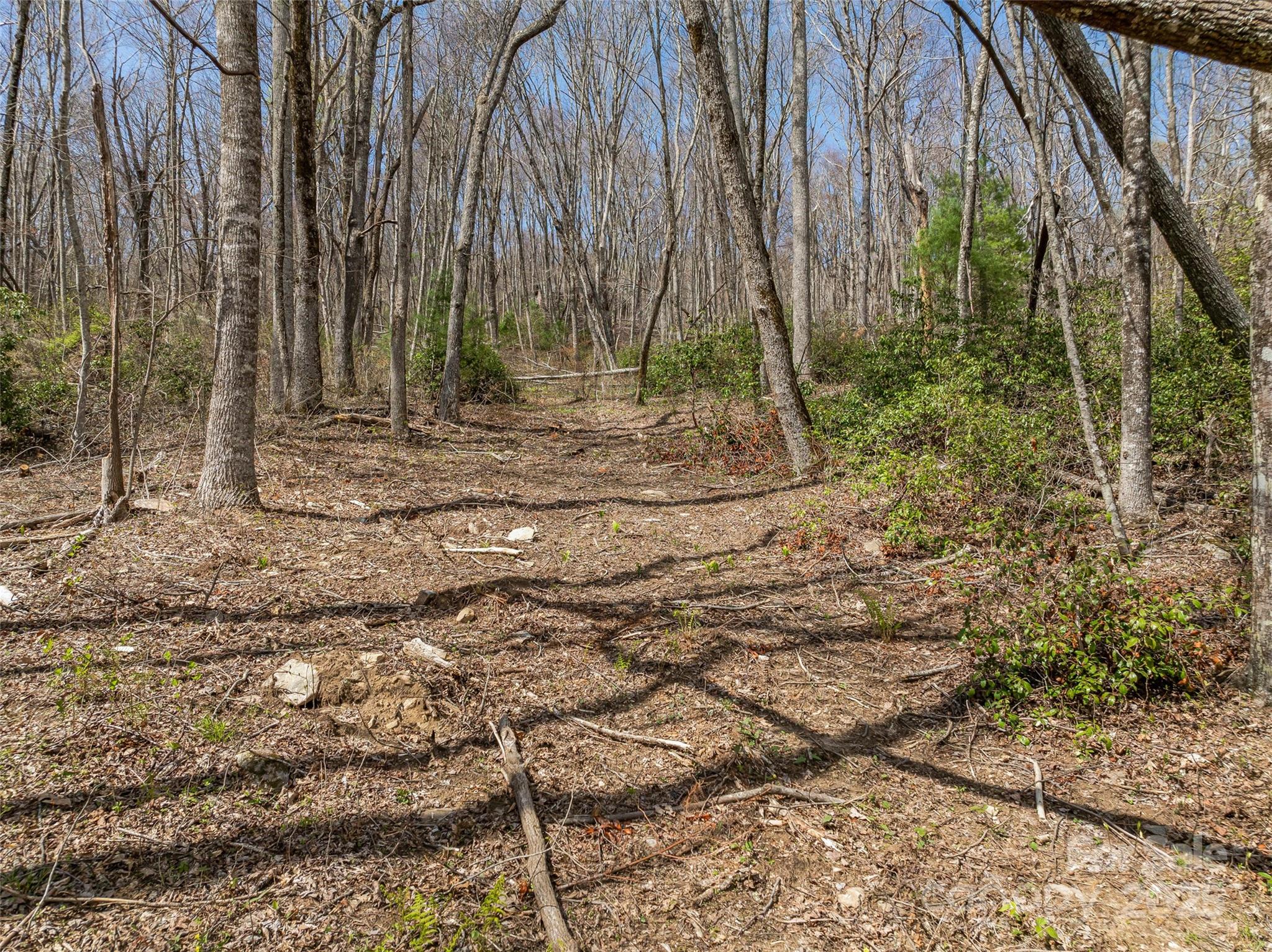 Grand Highlands at Bearwallow - Land