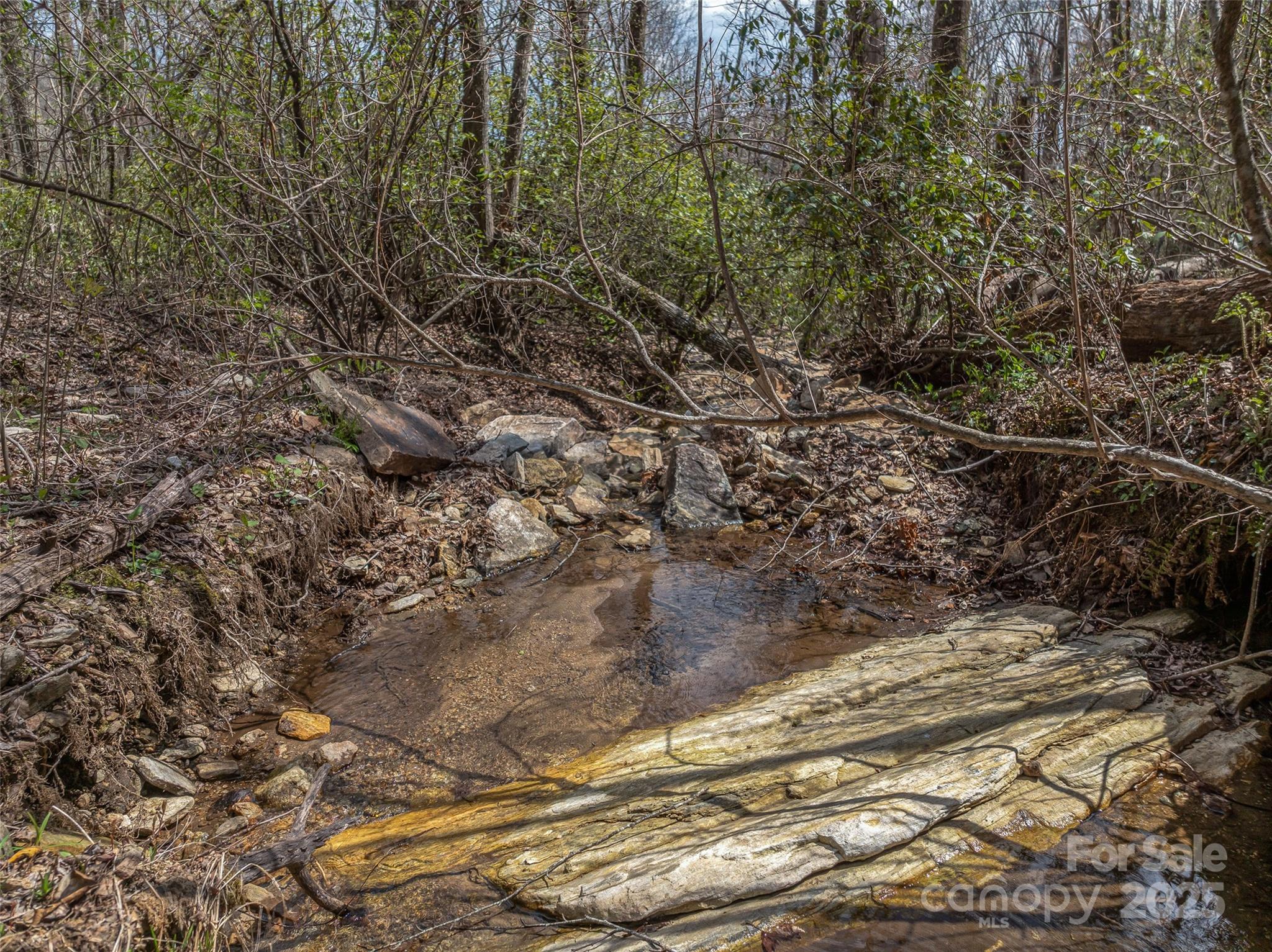 Grand Highlands at Bearwallow - Land