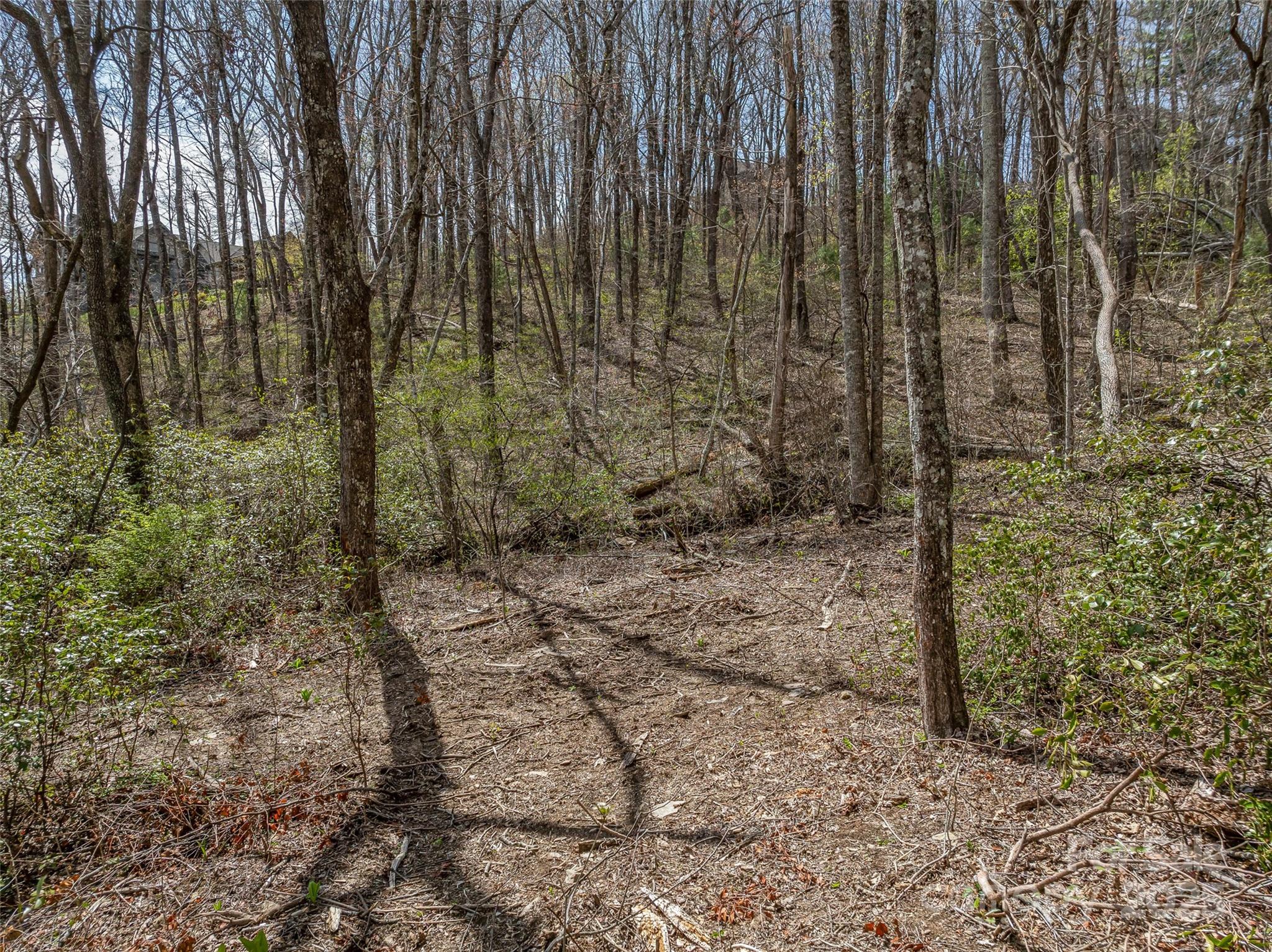 Grand Highlands at Bearwallow - Land