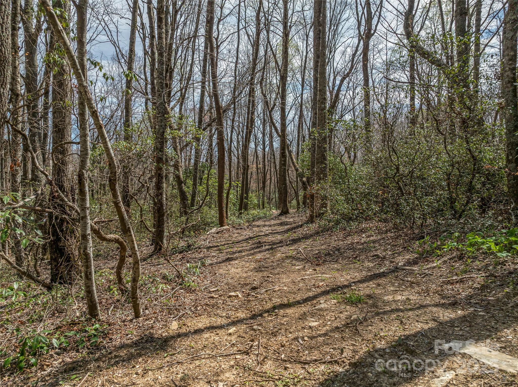 Grand Highlands at Bearwallow - Land