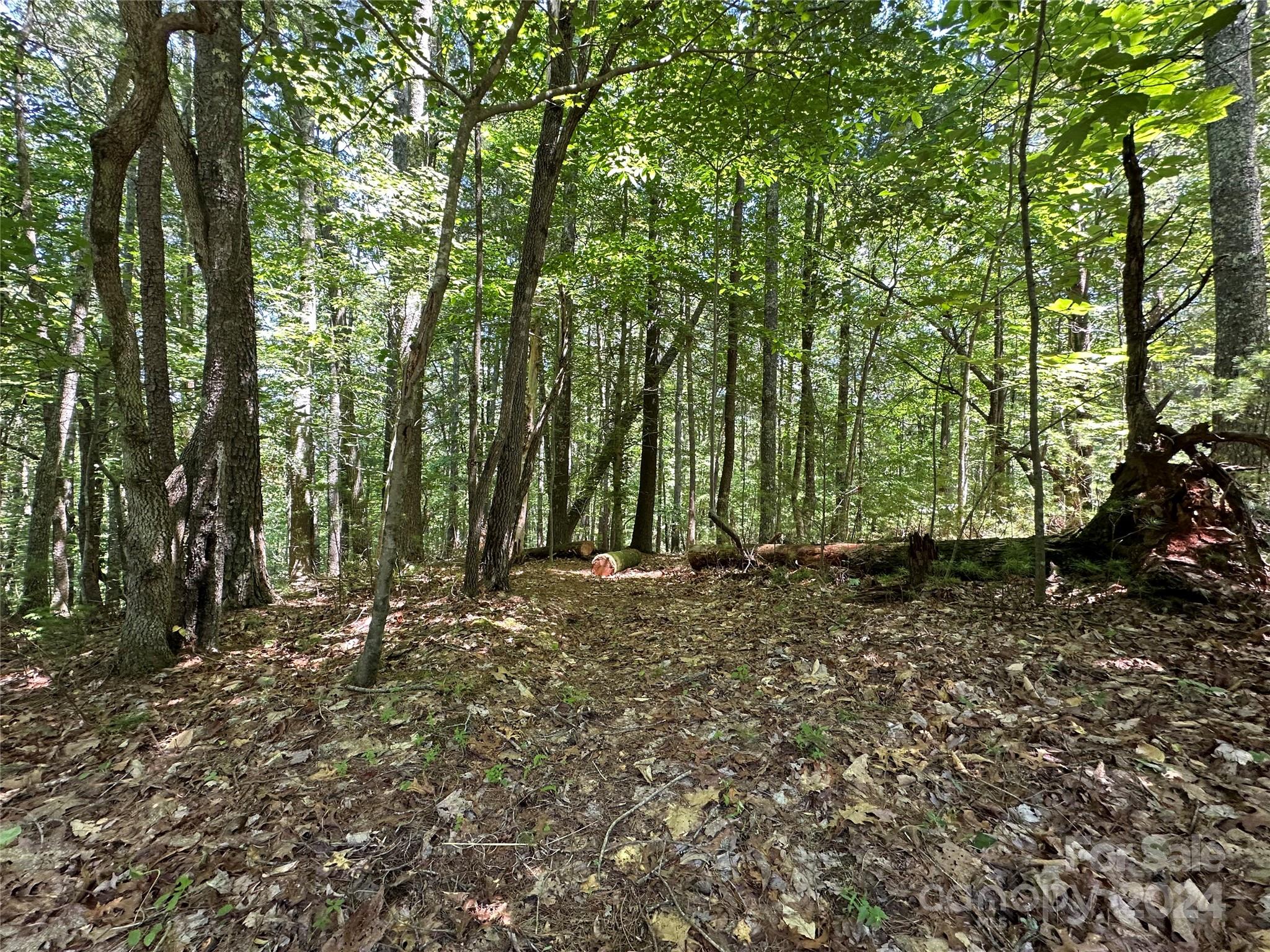 Old Wildlife Club - Land