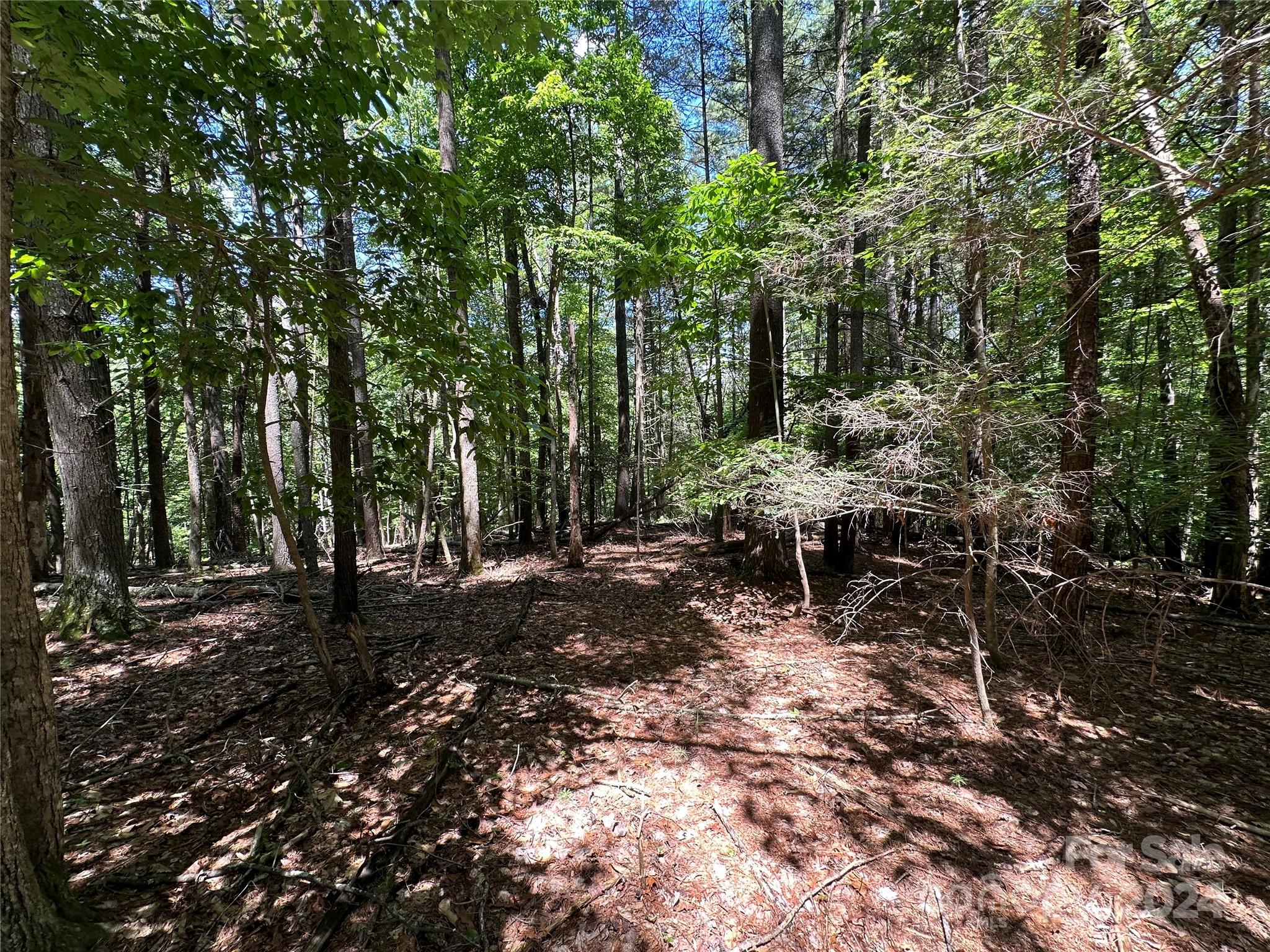 Old Wildlife Club - Land