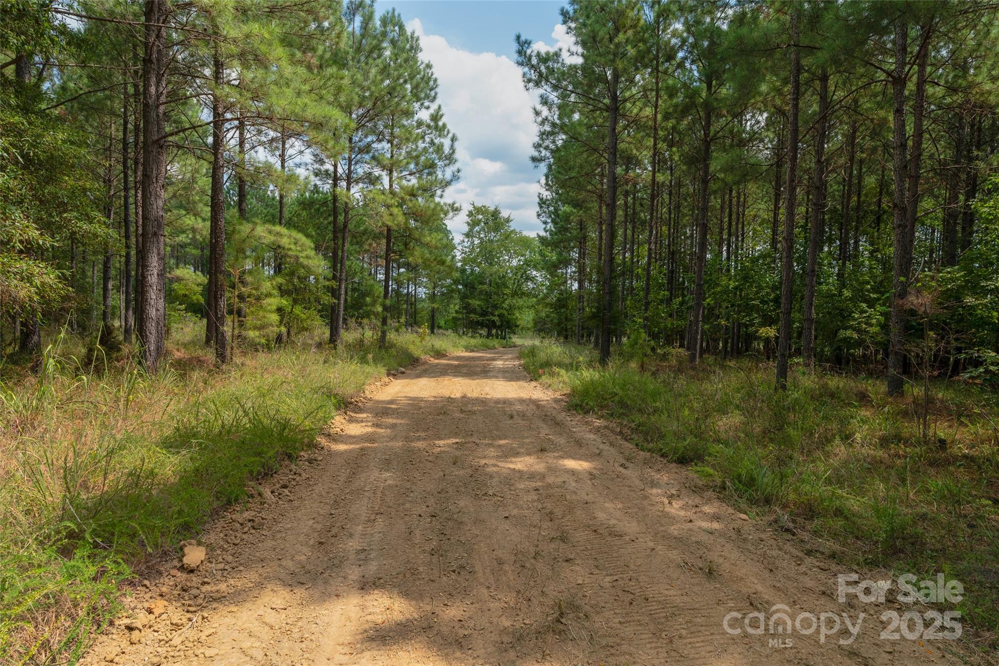 00 Old Windmill Road