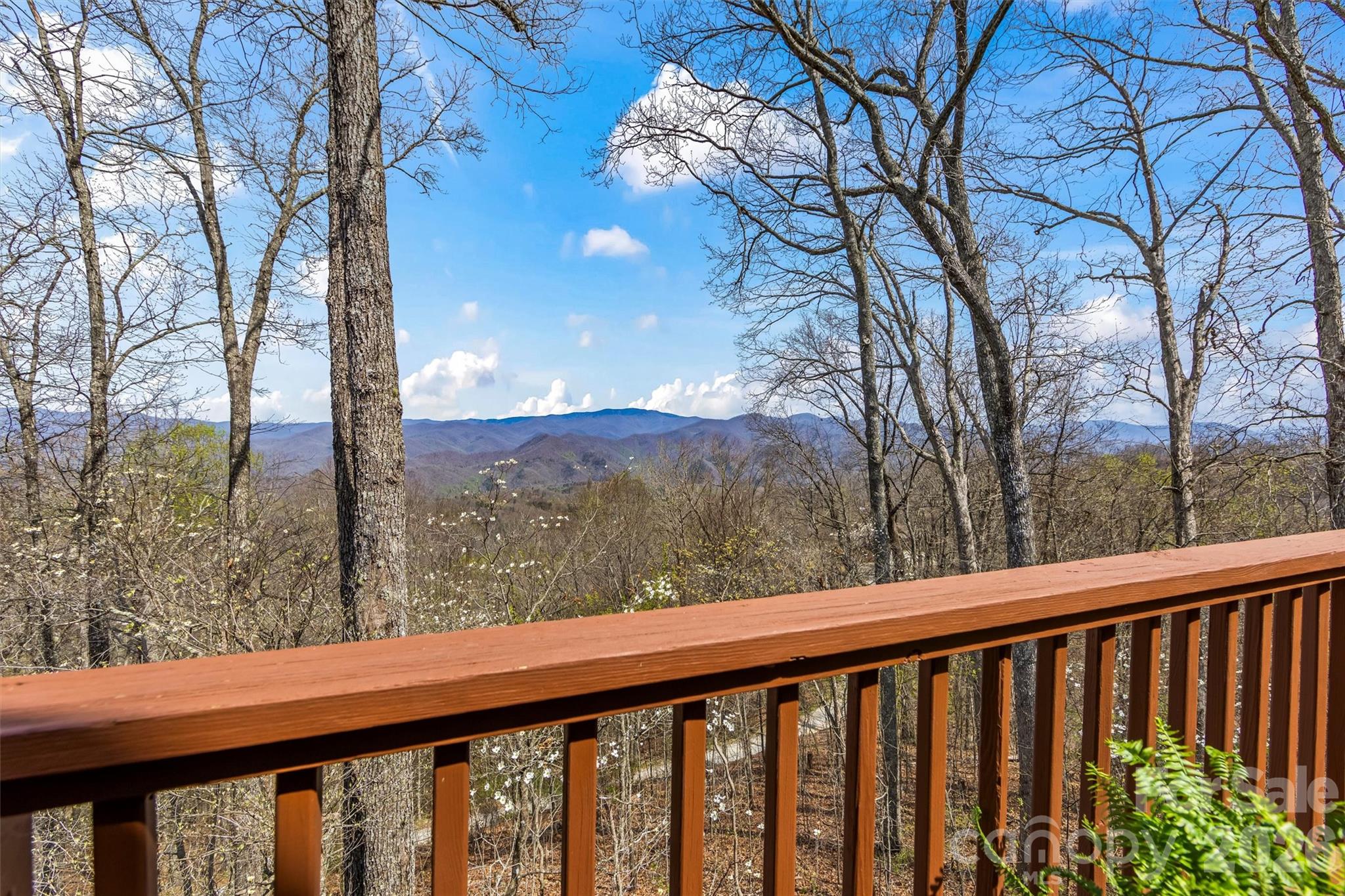 Black Forest - Residential