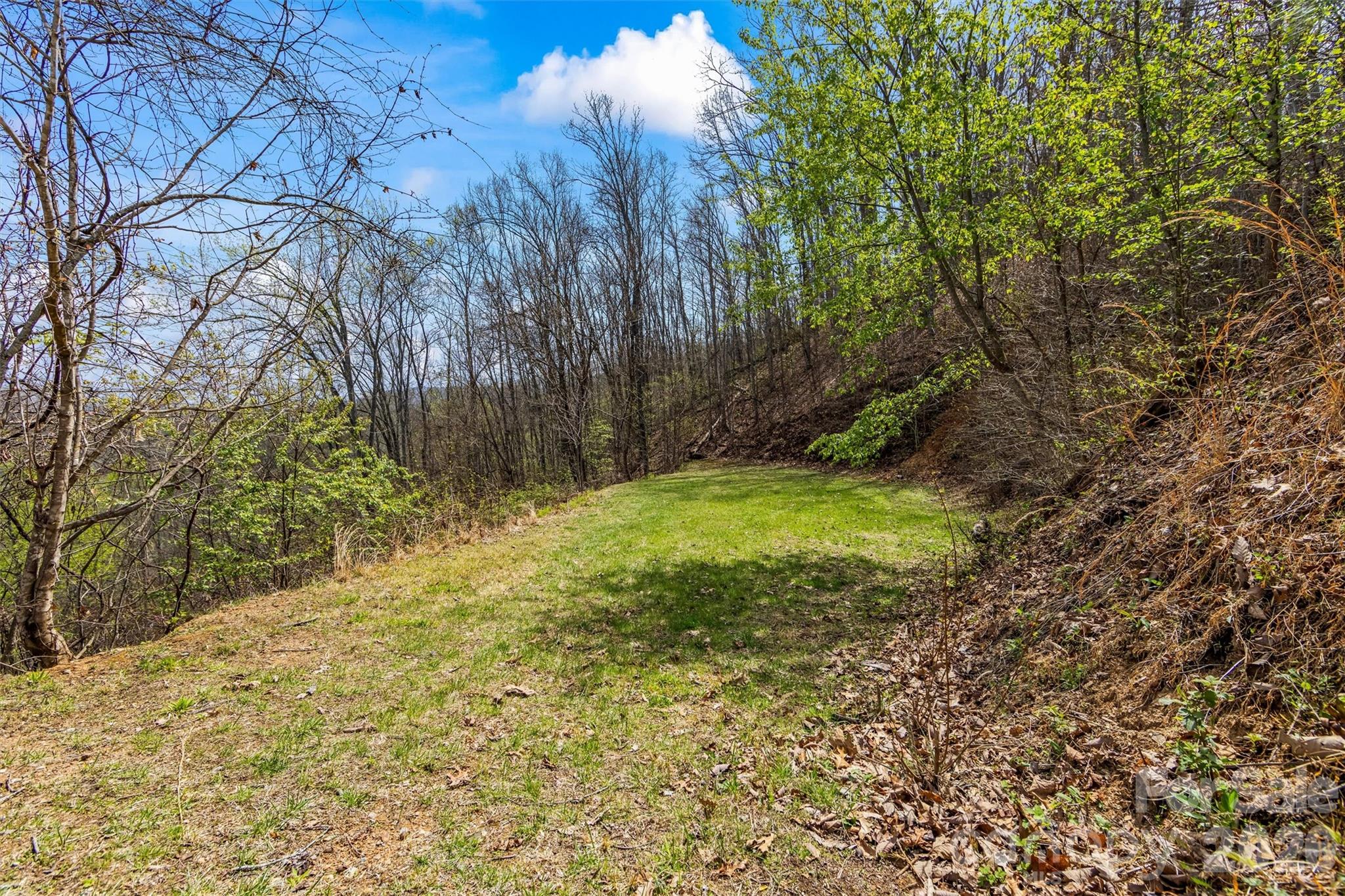 Black Forest - Residential