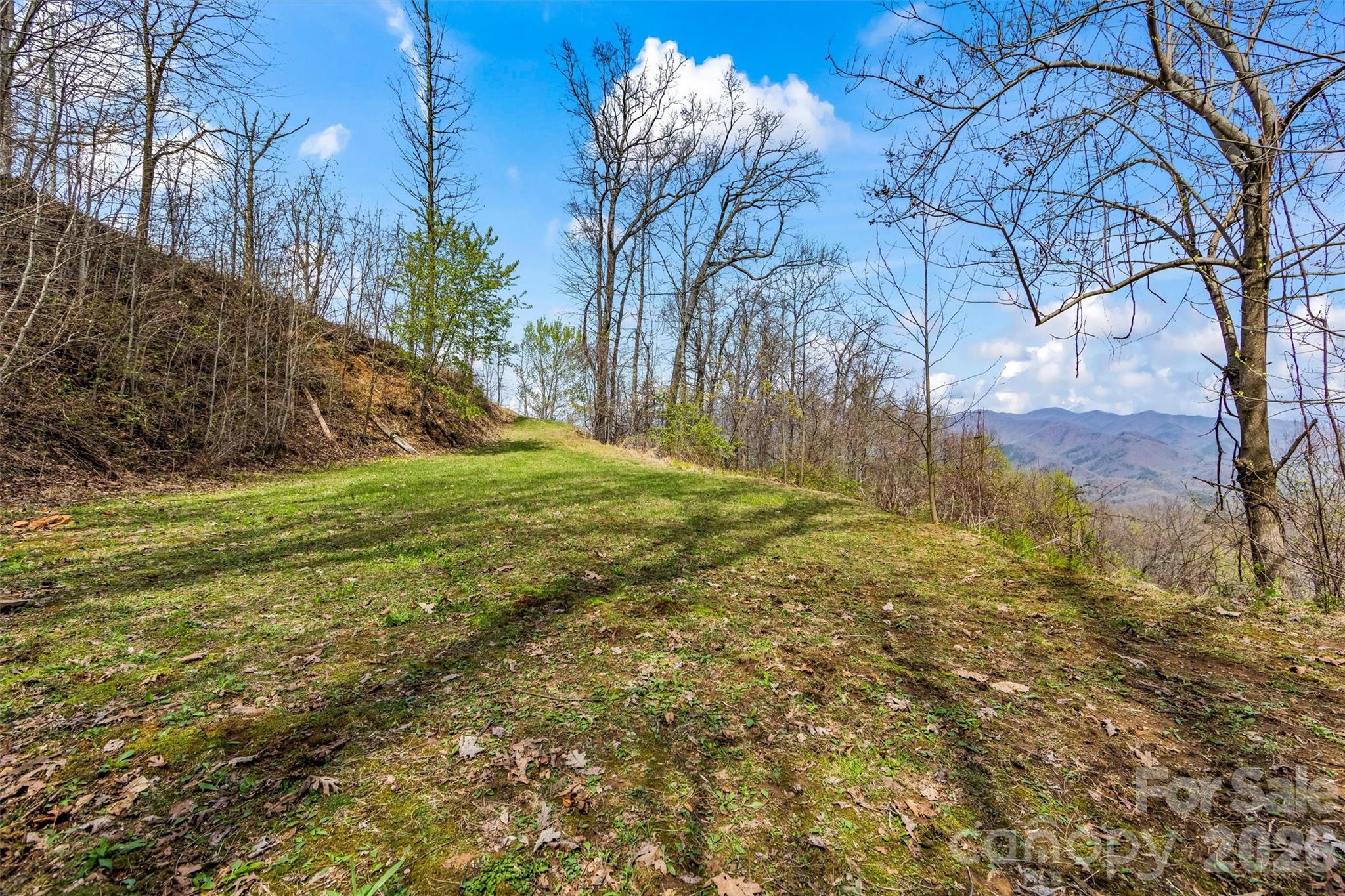 Black Forest - Residential