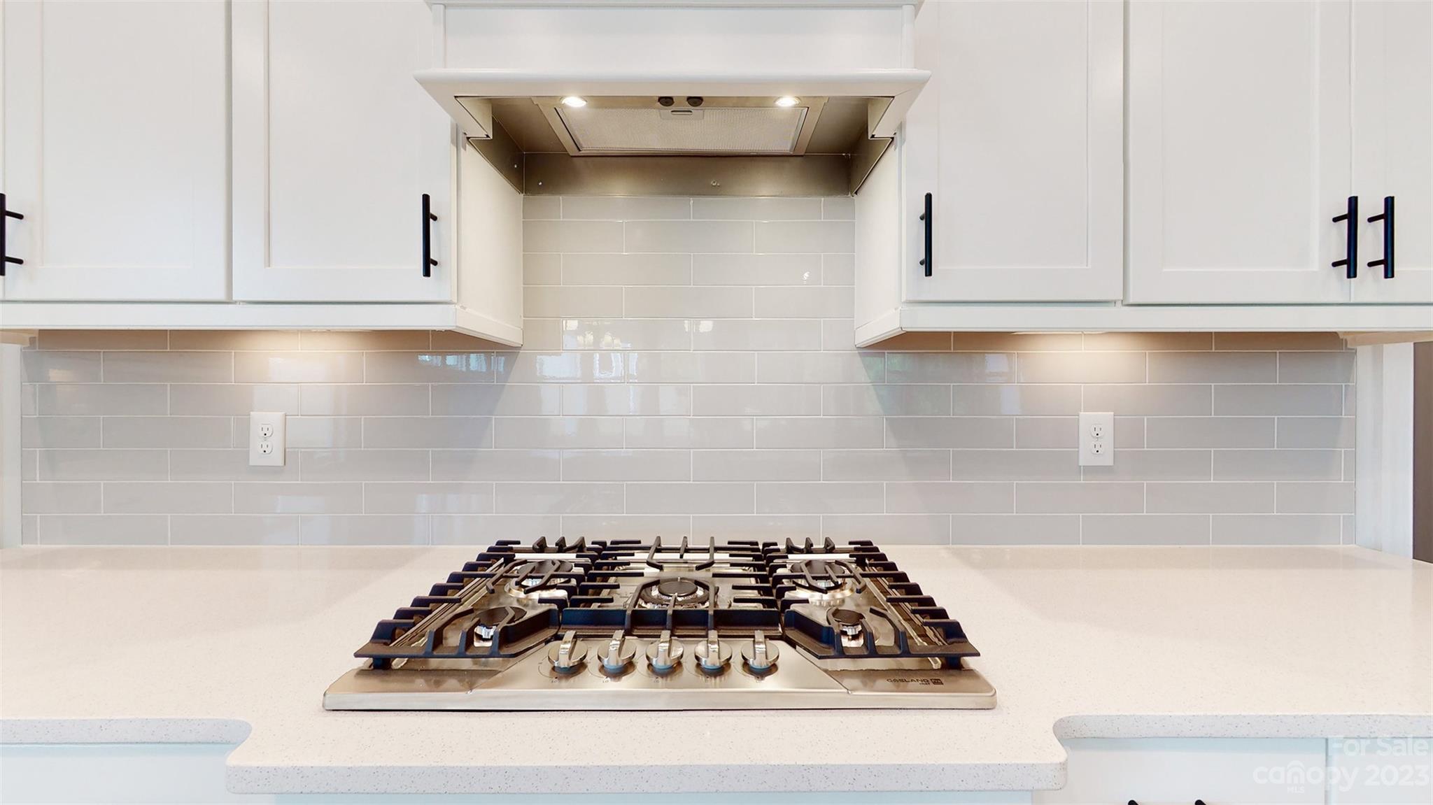 Handsmill On Lake Wylie - Residential