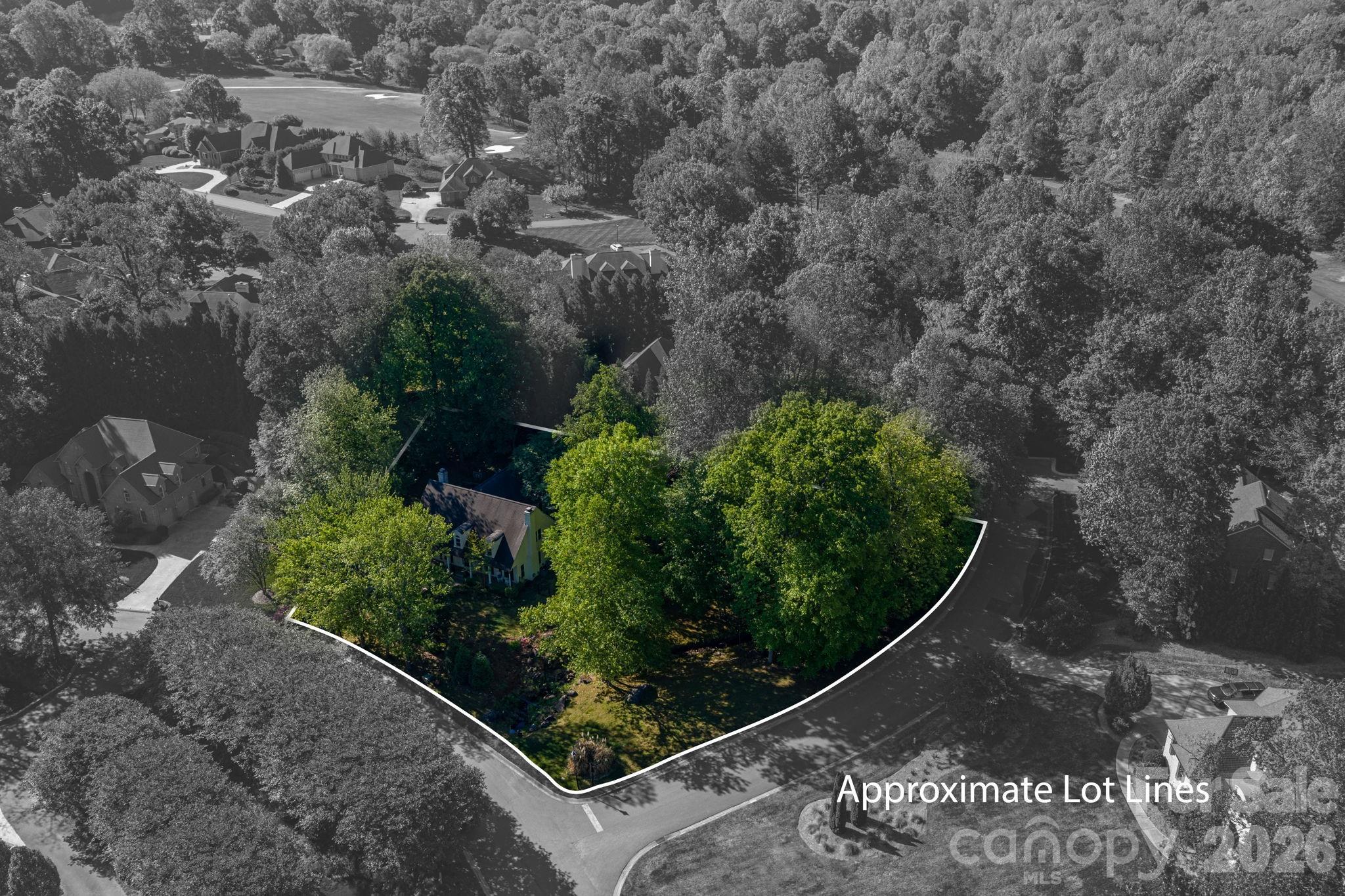 1027 Dan Maples Drive 2