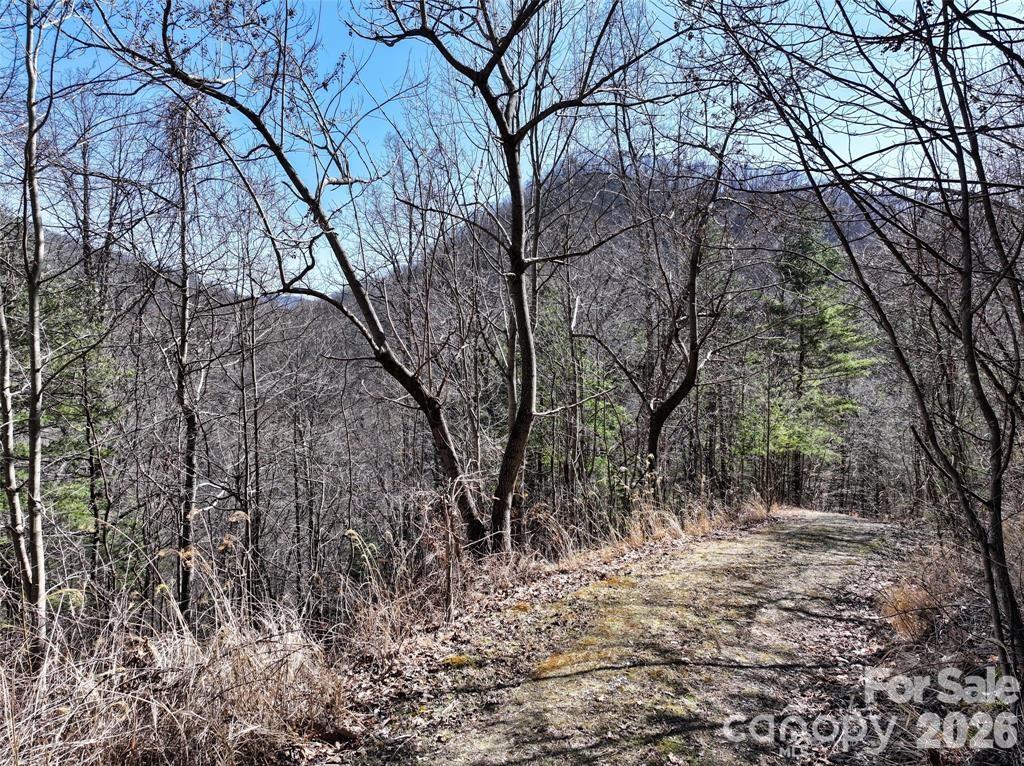 Greenridge Falls - Land