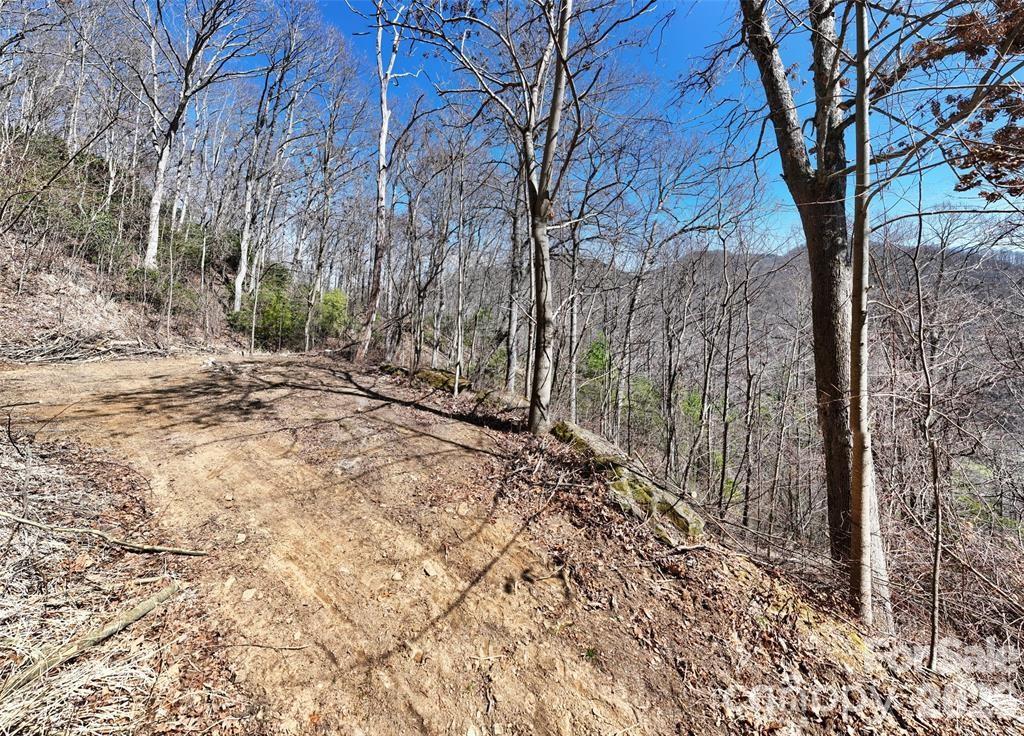 Greenridge Falls - Land