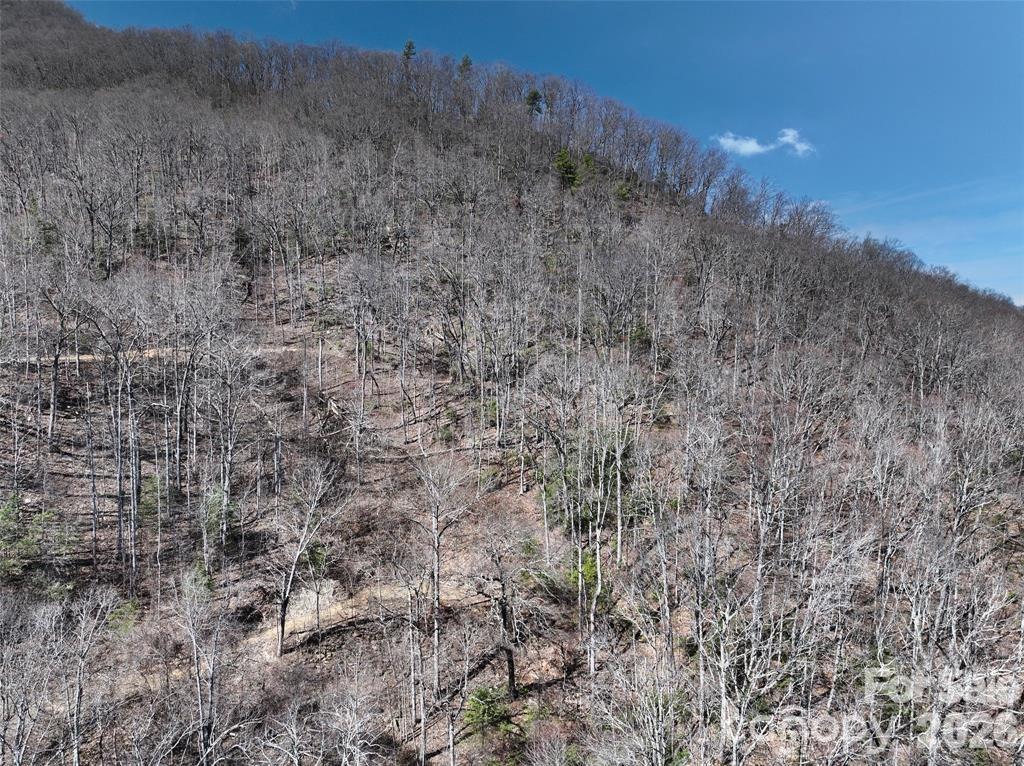 Greenridge Falls - Land