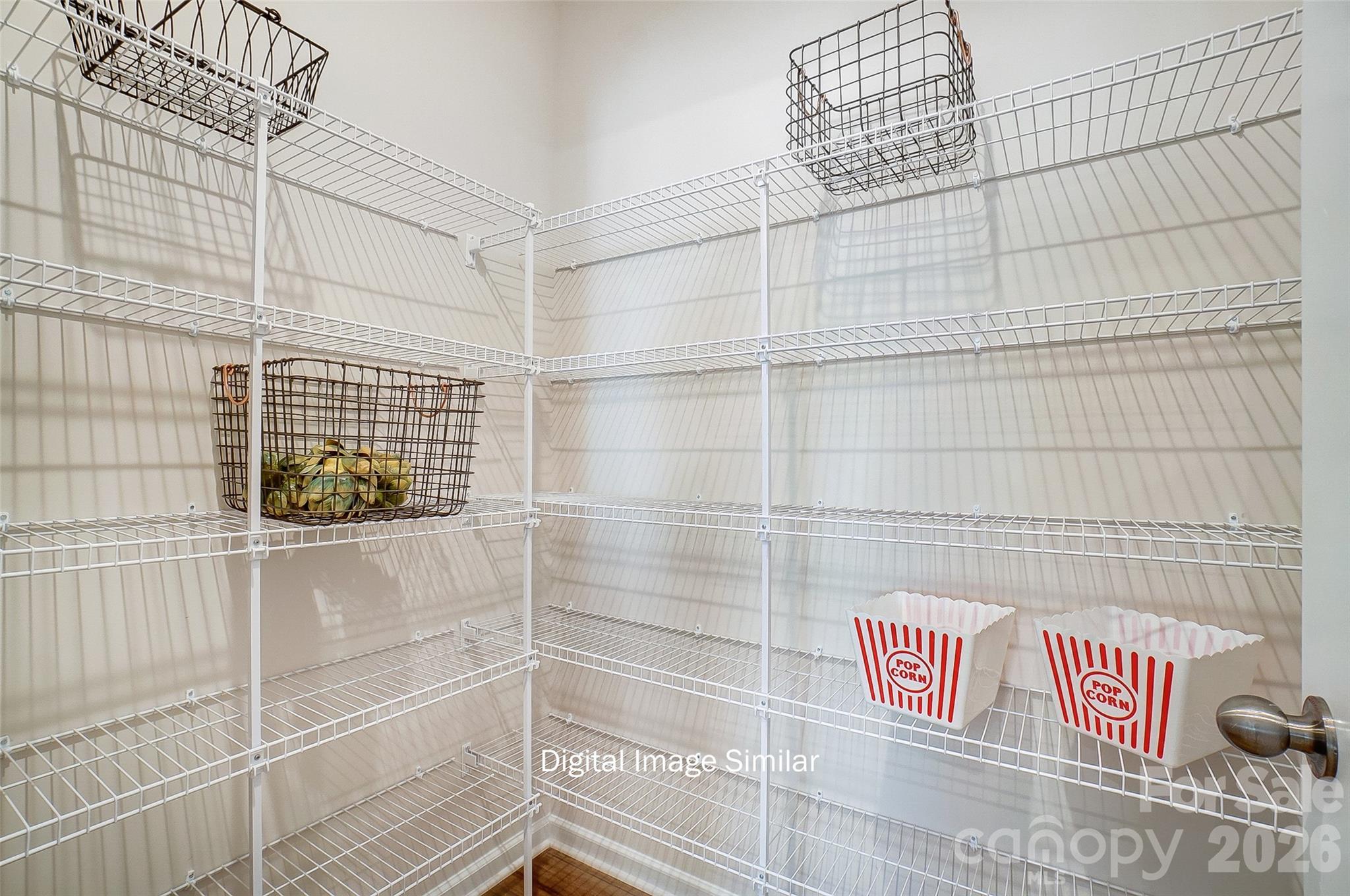 6044 Mallow Crossing Lane