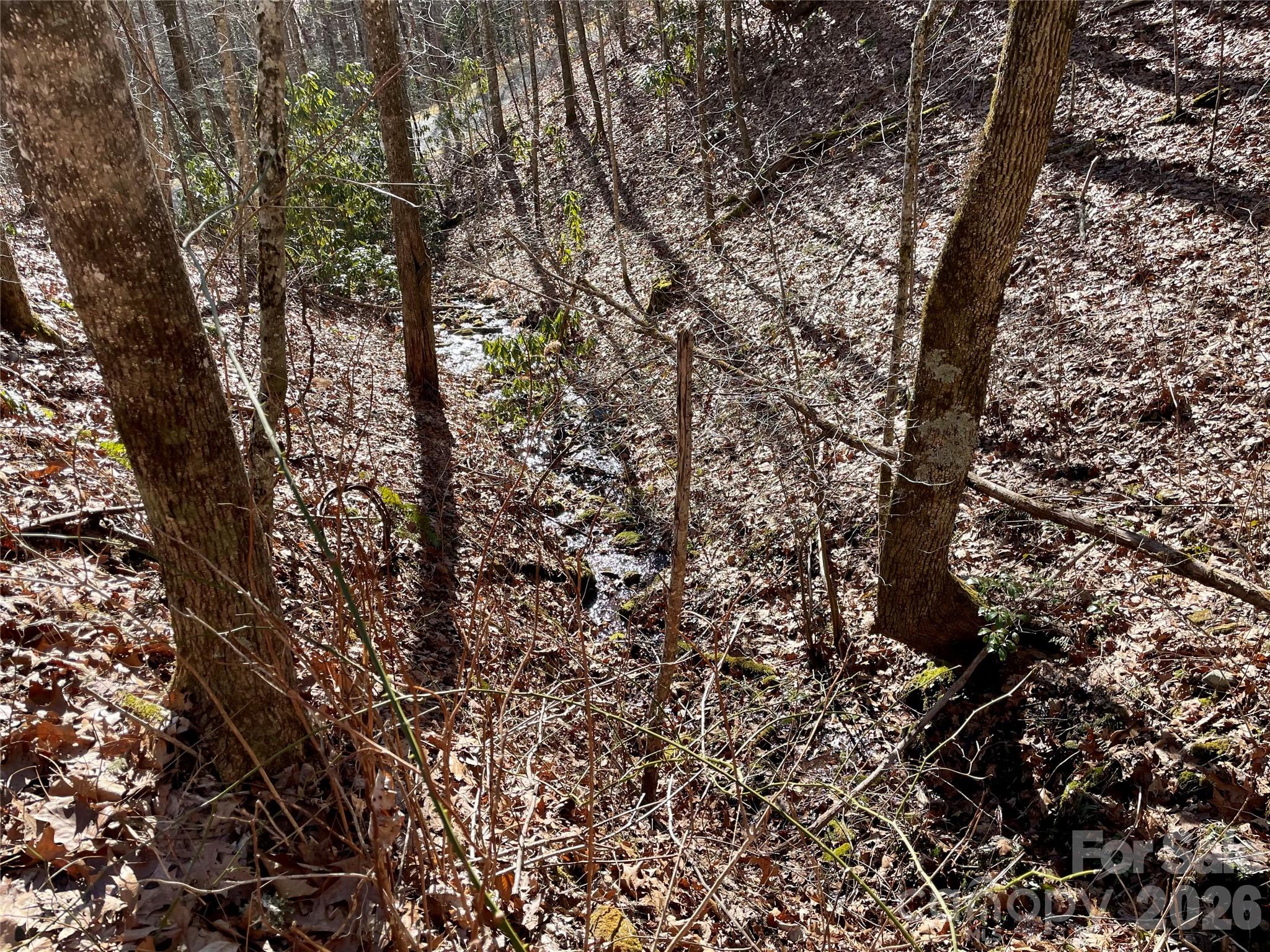 Coppermine Ridge - Land