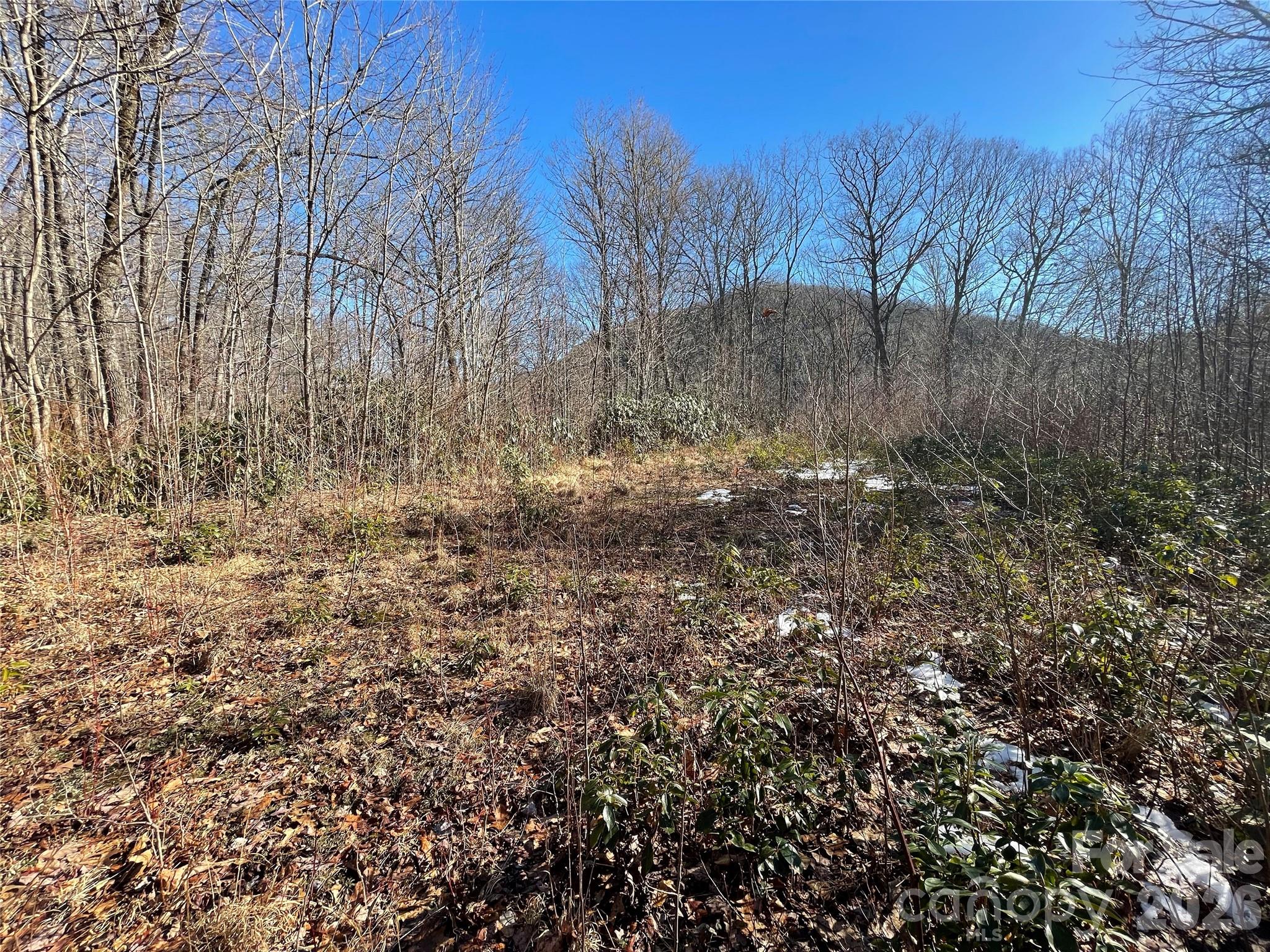 Coppermine Ridge - Land