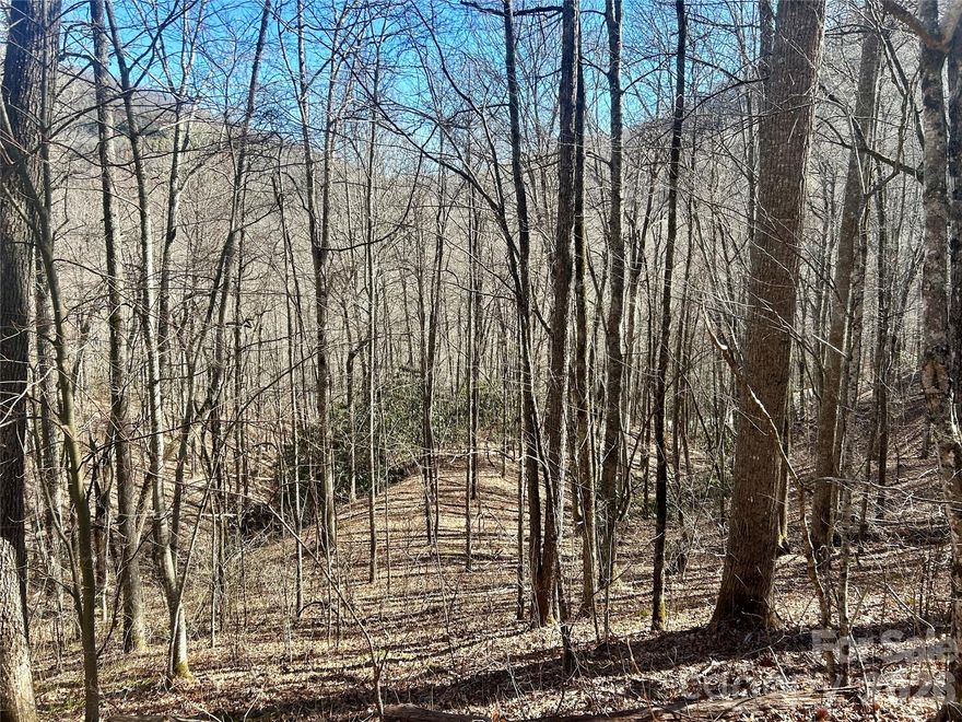 Discover this versatile, high-elevation property nestled in the heart of the Smoky Mountains! Spanning 5.7 acres across three lots in the conveniently located, gated Coppermine Ridge community, this unique offering presents endless possibilities for your dream home. The property is intersected by a private community road, providing flexible access from both upper and lower roads. On one side, an excavated homesite awaits—perfect for a future cabin with serene winter views, or as a convenient location for your garage or storage building. On the other side, take advantage of sweeping mountain vistas from your main residence, ensuring you wake up to breathtaking scenery every day. Residents of Coppermine Ridge enjoy a picturesque drive through the neighborhood, with stunning views of mountains and waterfalls around every corner. Whether you’re seeking a tranquil retreat or an adventure base in the Smokies, this property delivers the best that this area has to offer.