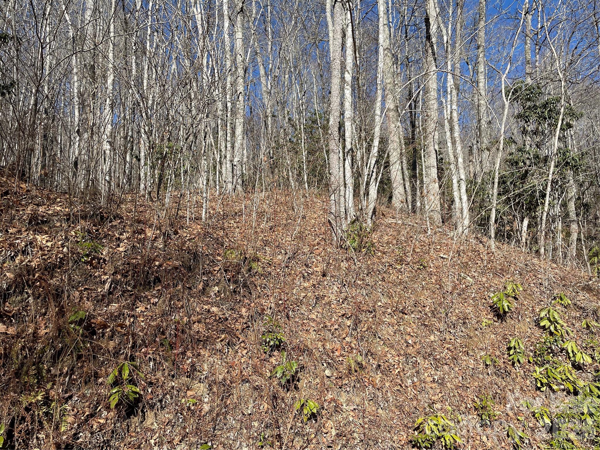 Coppermine Ridge - Land