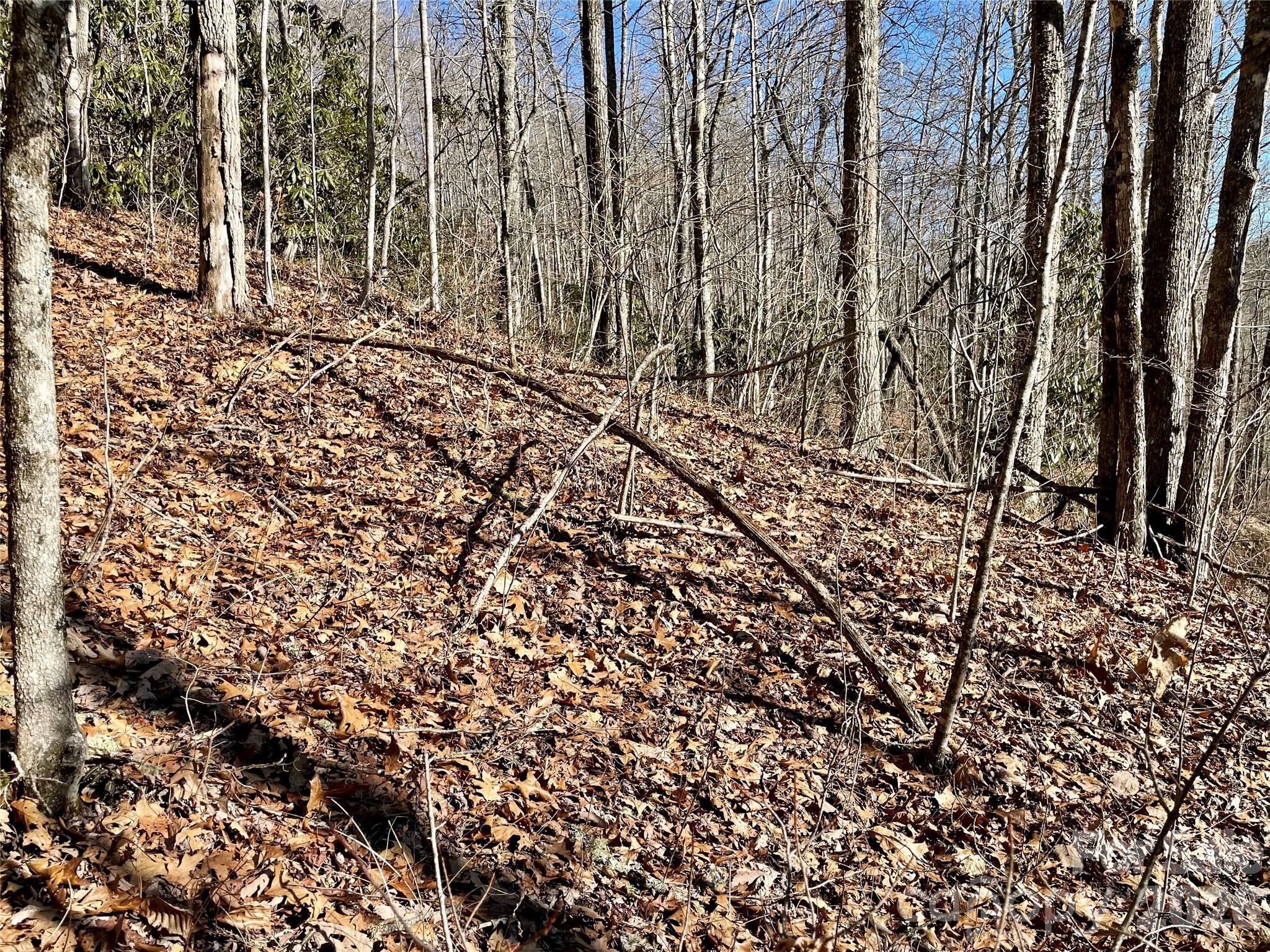 Coppermine Ridge - Land