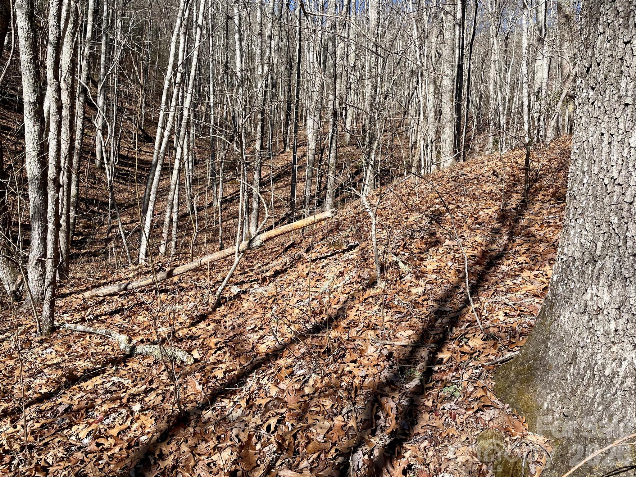 Coppermine Ridge - Land