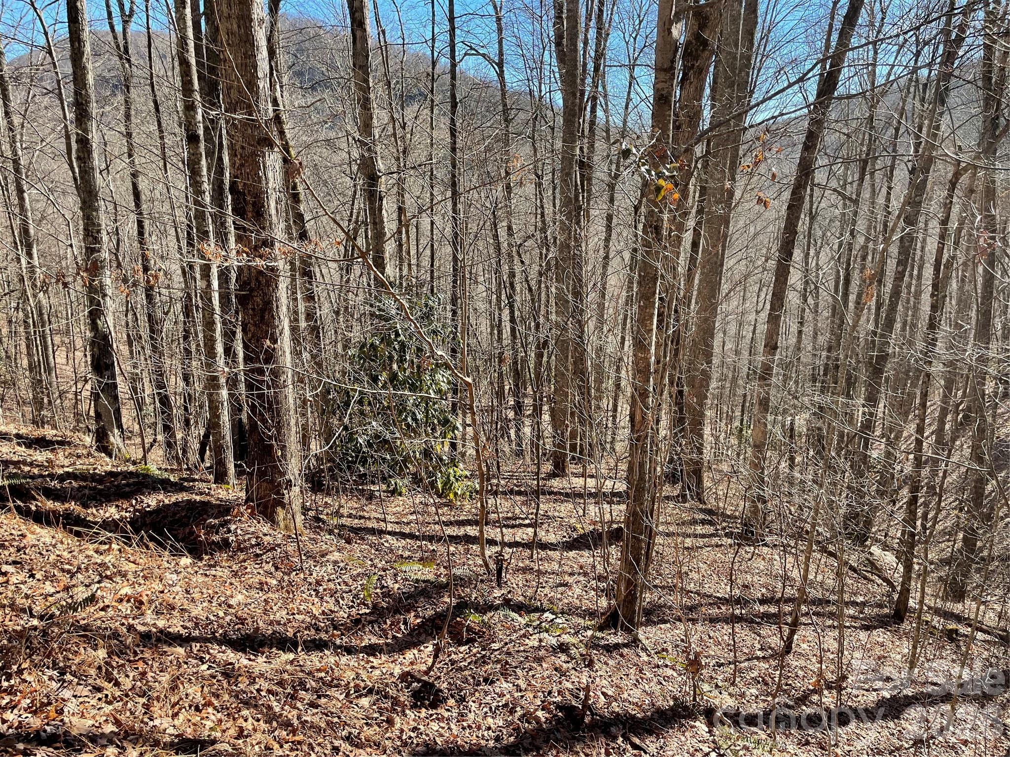 0 Deep Gap View 51&52&53