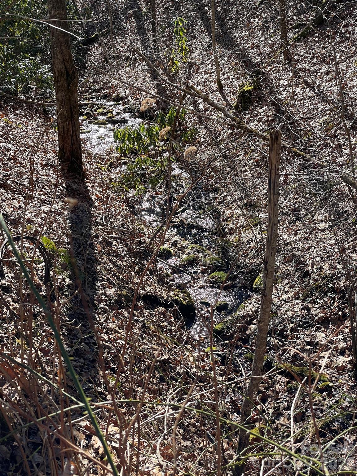 Coppermine Ridge - Land