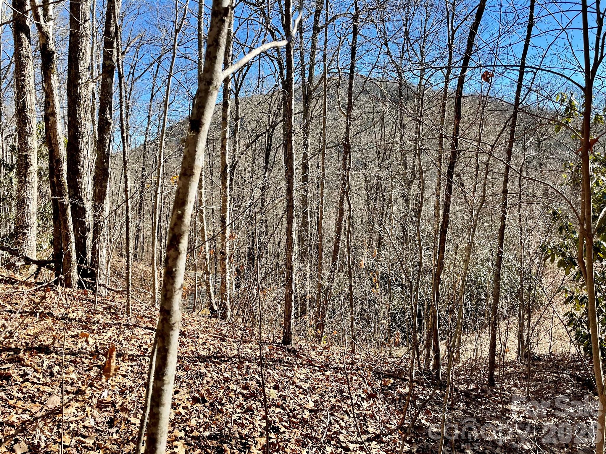 Coppermine Ridge - Land