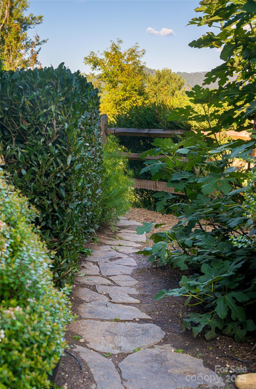 Lookout Mountain - Residential