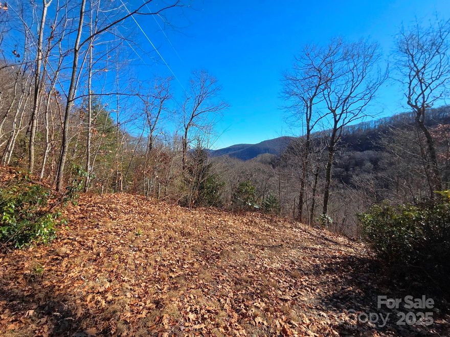 In the forest, with mountain views, and less than 1,000 feet to the Blue Ridge Parkway, 'as the crow flies', or 2.6 miles by road. Located between Maggie Valley and Cherokee, this 0.75-acre lot provides a peaceful and convenient place to spend your time close to all of the beautiful mountain area features, from state/national parks to local attractions and events. Or a place to enjoy the view and quiet from the privacy of your home site. The cleared and leveled home site includes a 2-bedroom septic installed on the lower part of the lot (to the right of the already existing driveway). Satellite internet services are popular in the neighborhood. At an elevation of 4,700–4,800 feet, thoughtful tree management can open up dramatic east- and west-facing views—ideal for taking in both sunrises and sunsets. Deeded restrictions allow for a minimum 1,500 sq ft build, with temporary use of trailers/campers permitted (see restrictions). Well-Maintained Gravel Roads. (Metal container will be removed.)