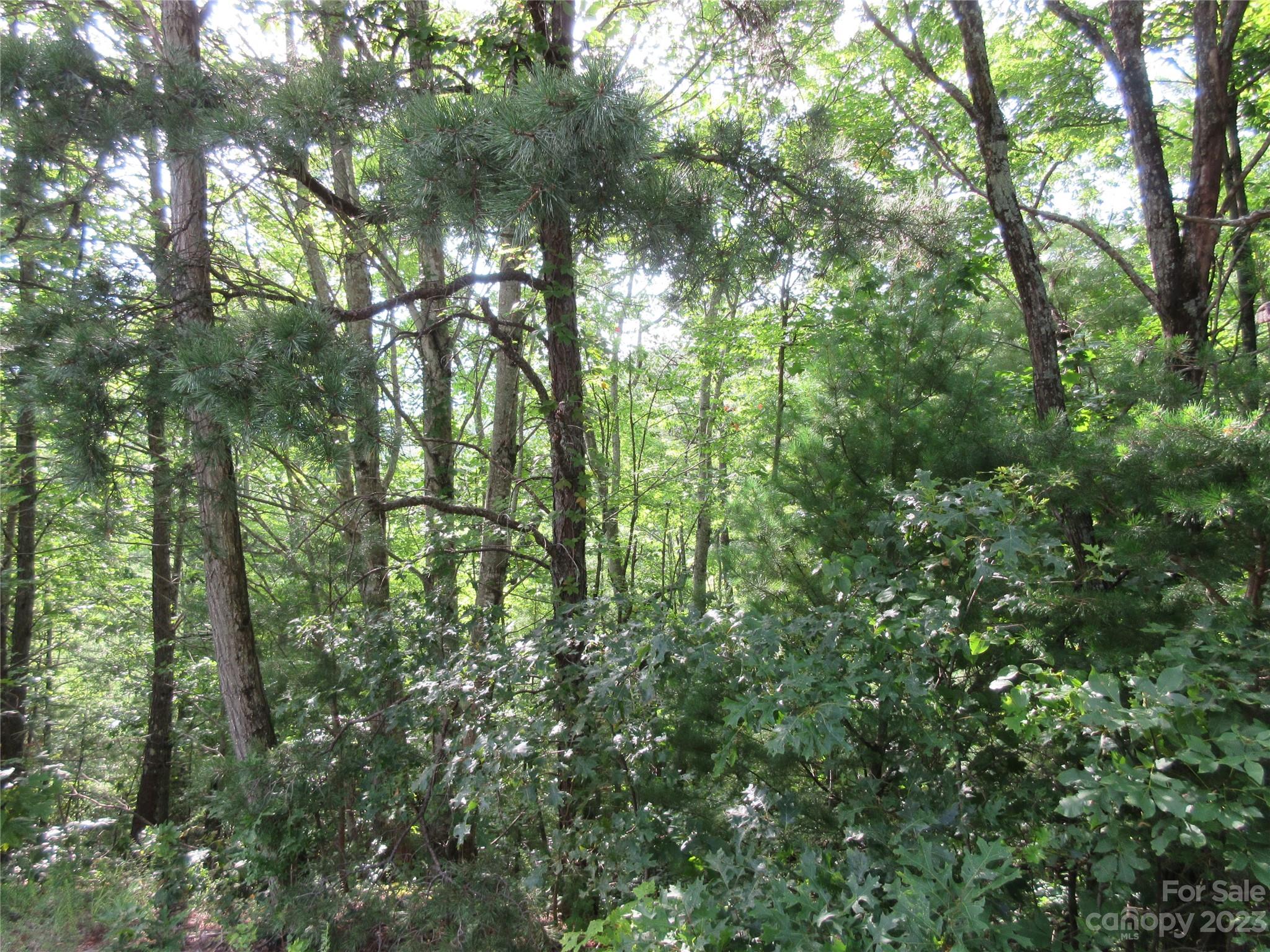 Lot 29 Linville Drive