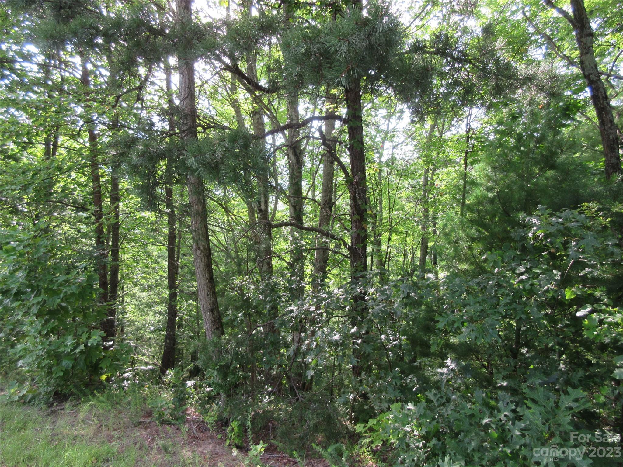 Lot 29 Linville Drive