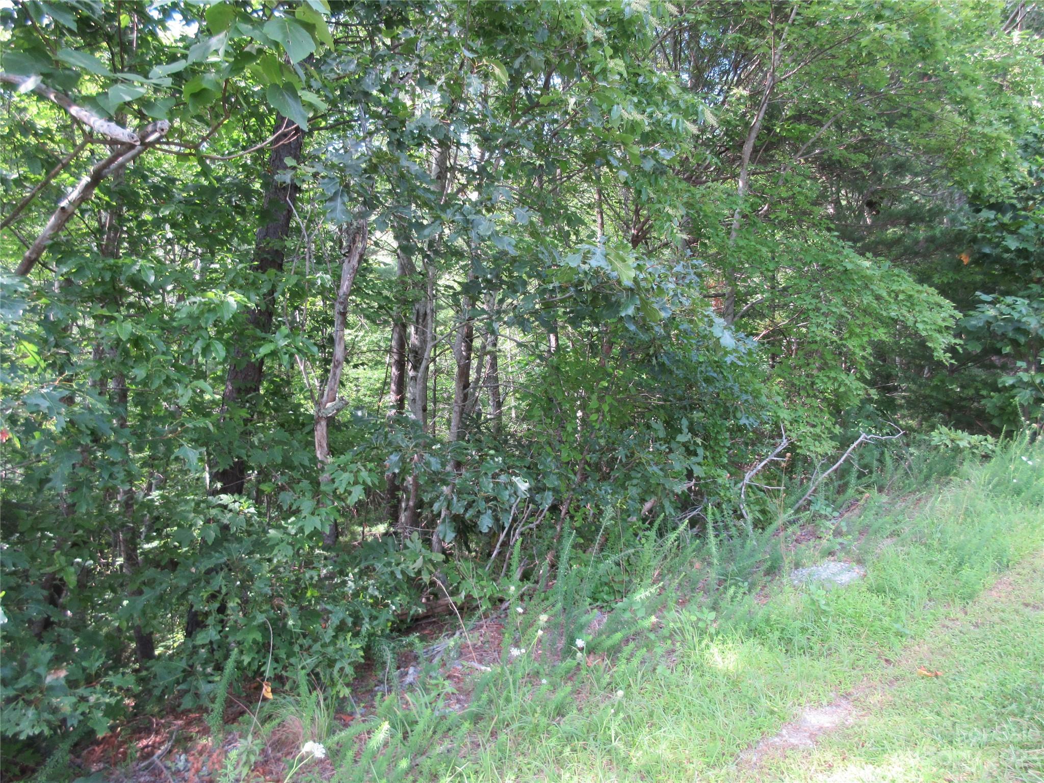 Lot 29 Linville Drive