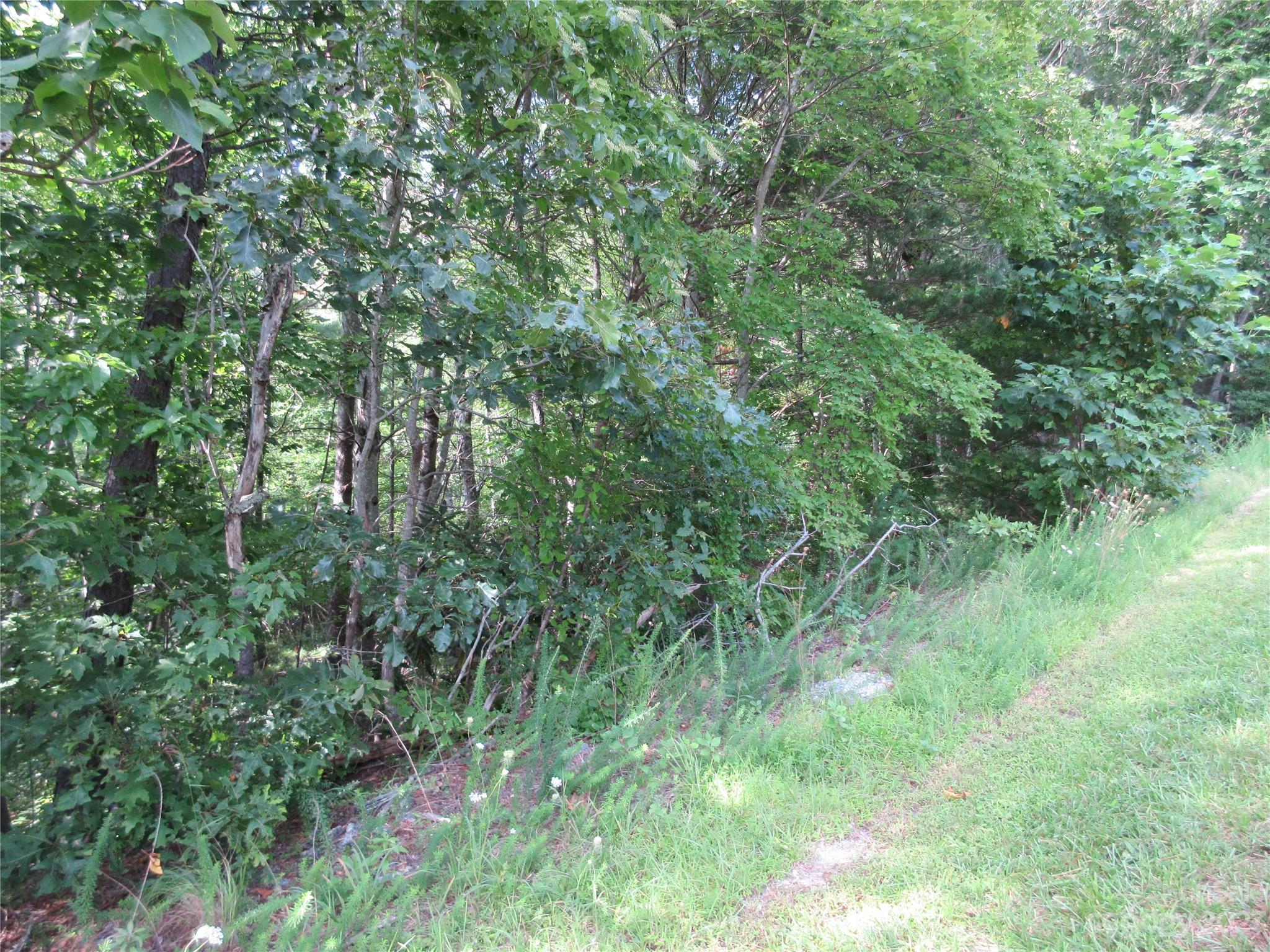 Lot 29 Linville Drive