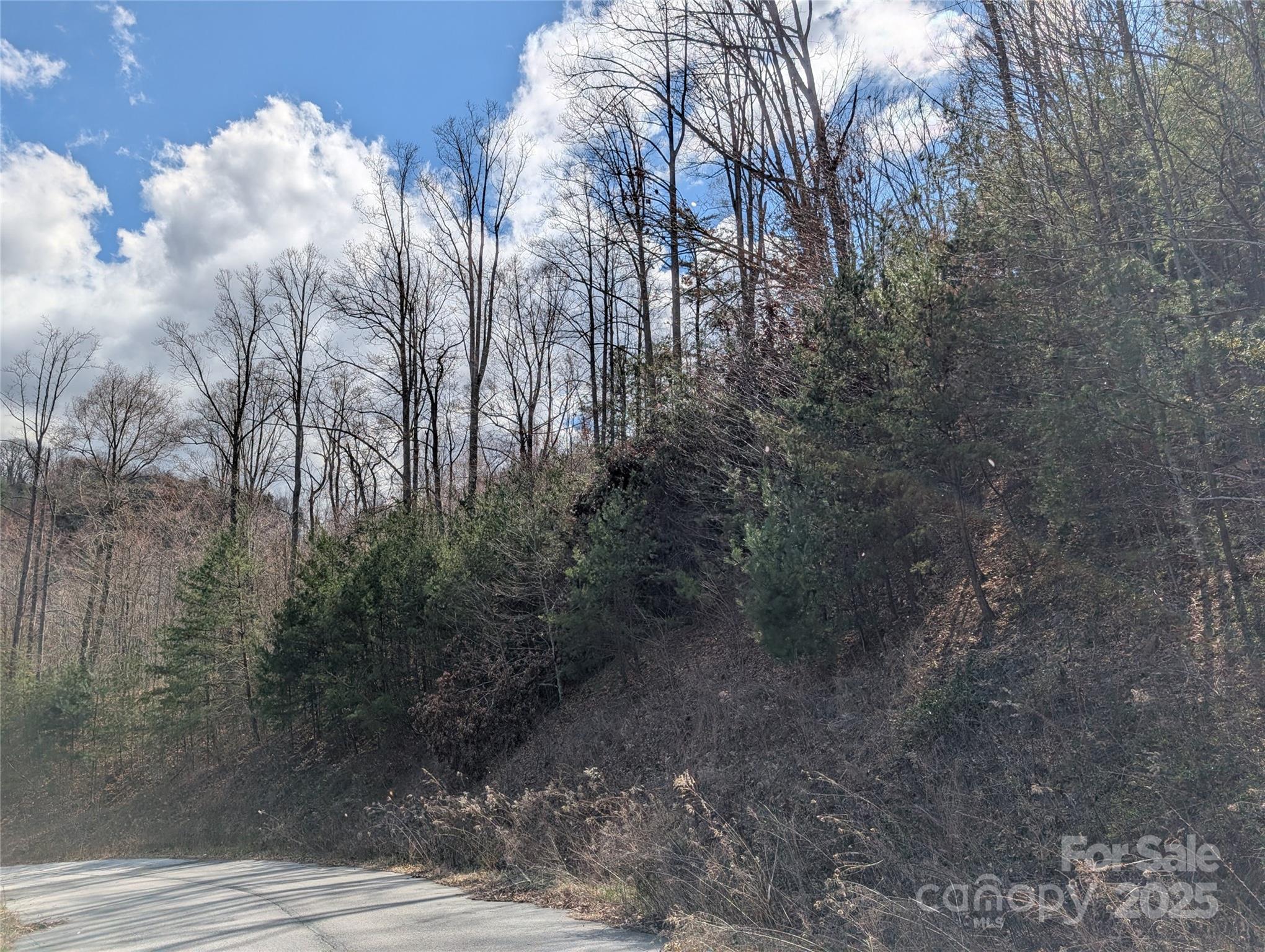 92 Mountain Magnolia Drive