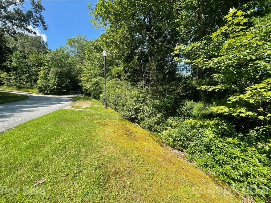 Large, gentle sloping homesite with mountain view conveniently located.  Straus Park is Brevard's premier community with pool, lake, clubhouse, community garden and hiking trails and commercial shopping and services within the community. Nice Eastern exposure.