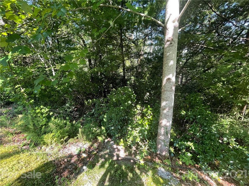 99999 Pine Mountain Trail M37