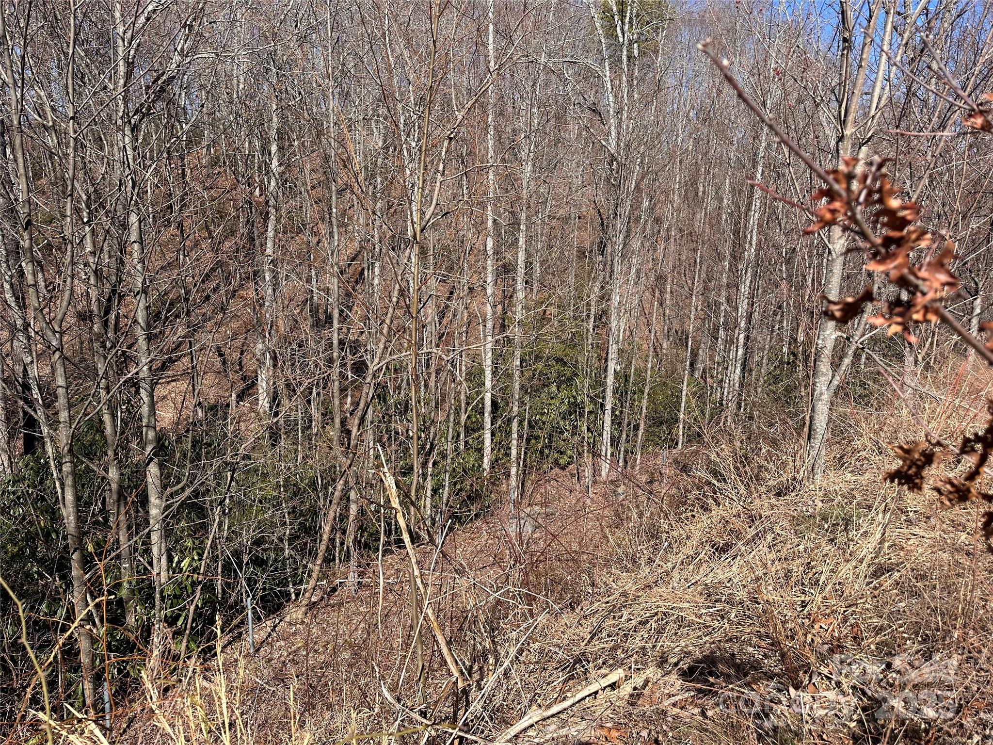 Grey Rock at Lake Lure - Land