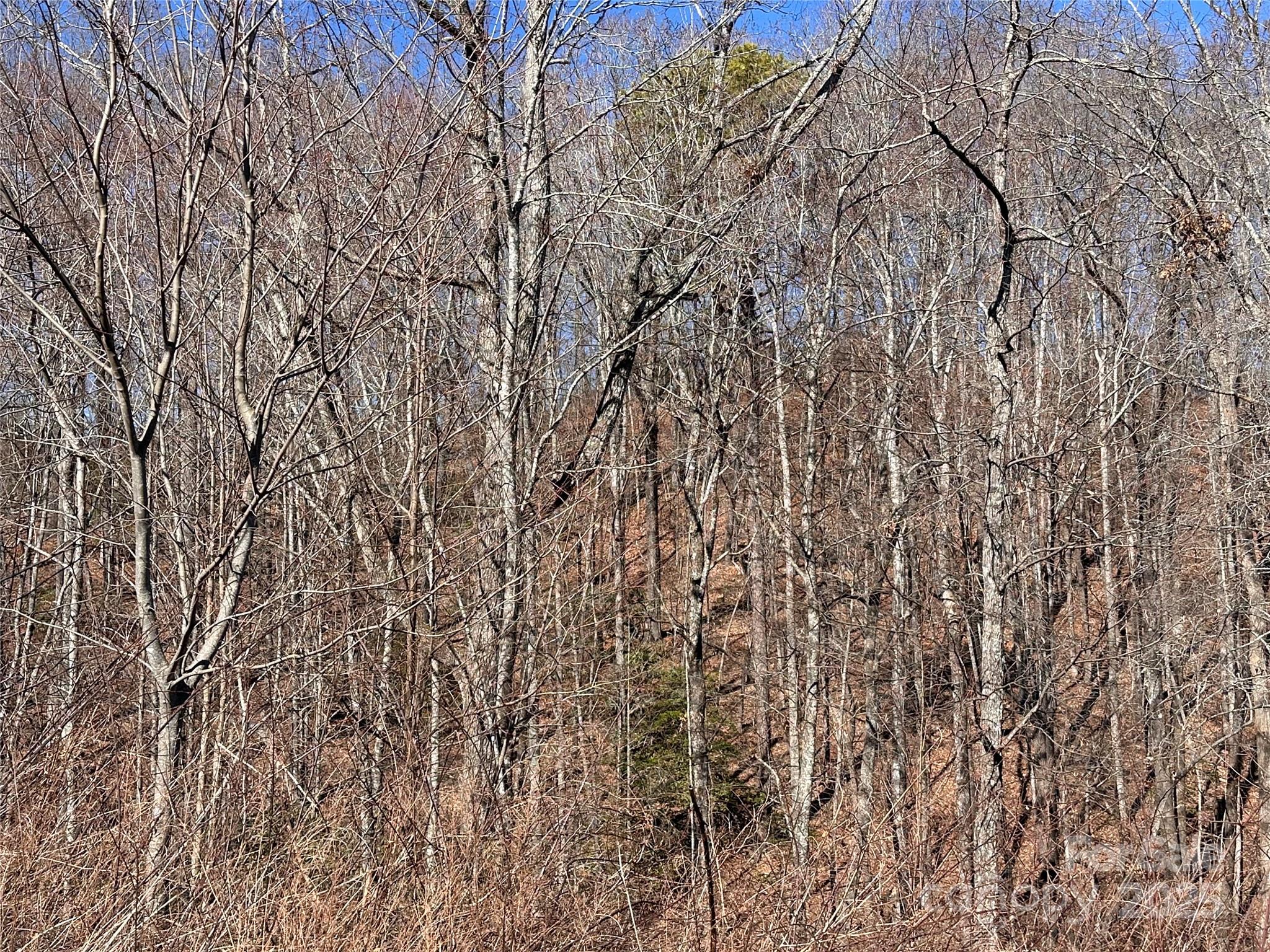 Grey Rock at Lake Lure - Land