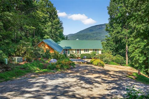 60 Wildflower Lane Old Fort NC 28762